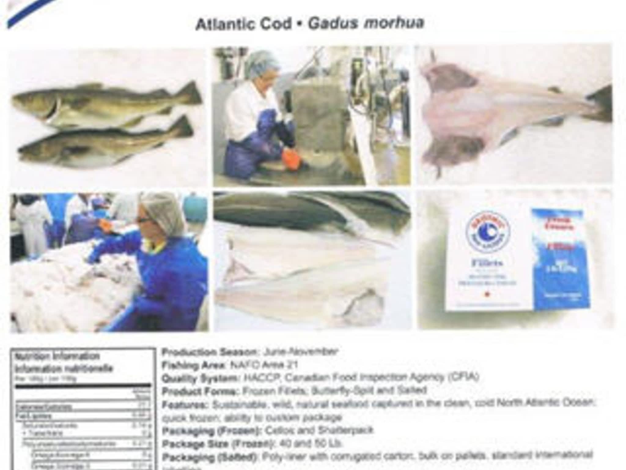 photo Beothic Fish Processors Limited