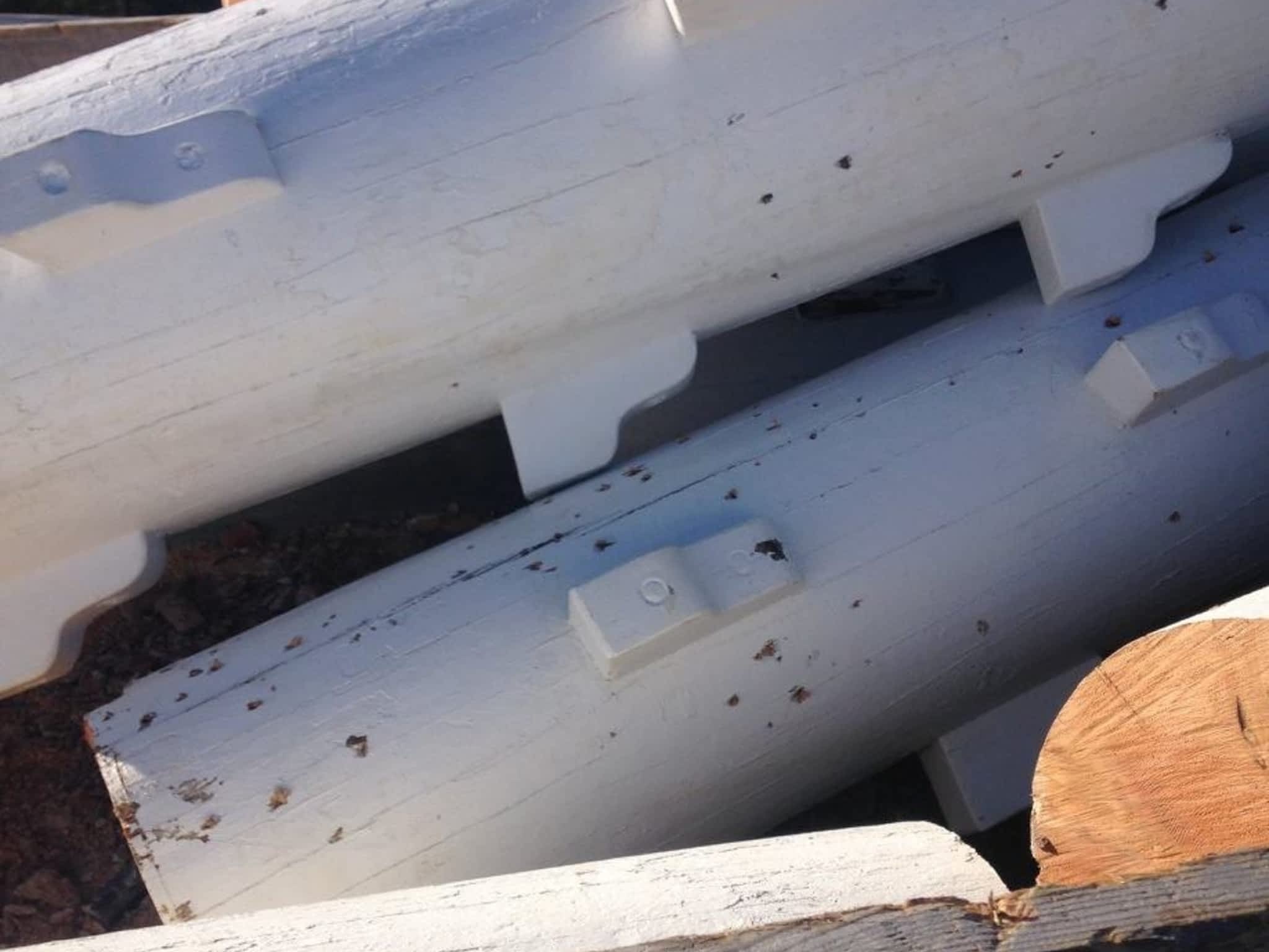 photo Solid Tree Care