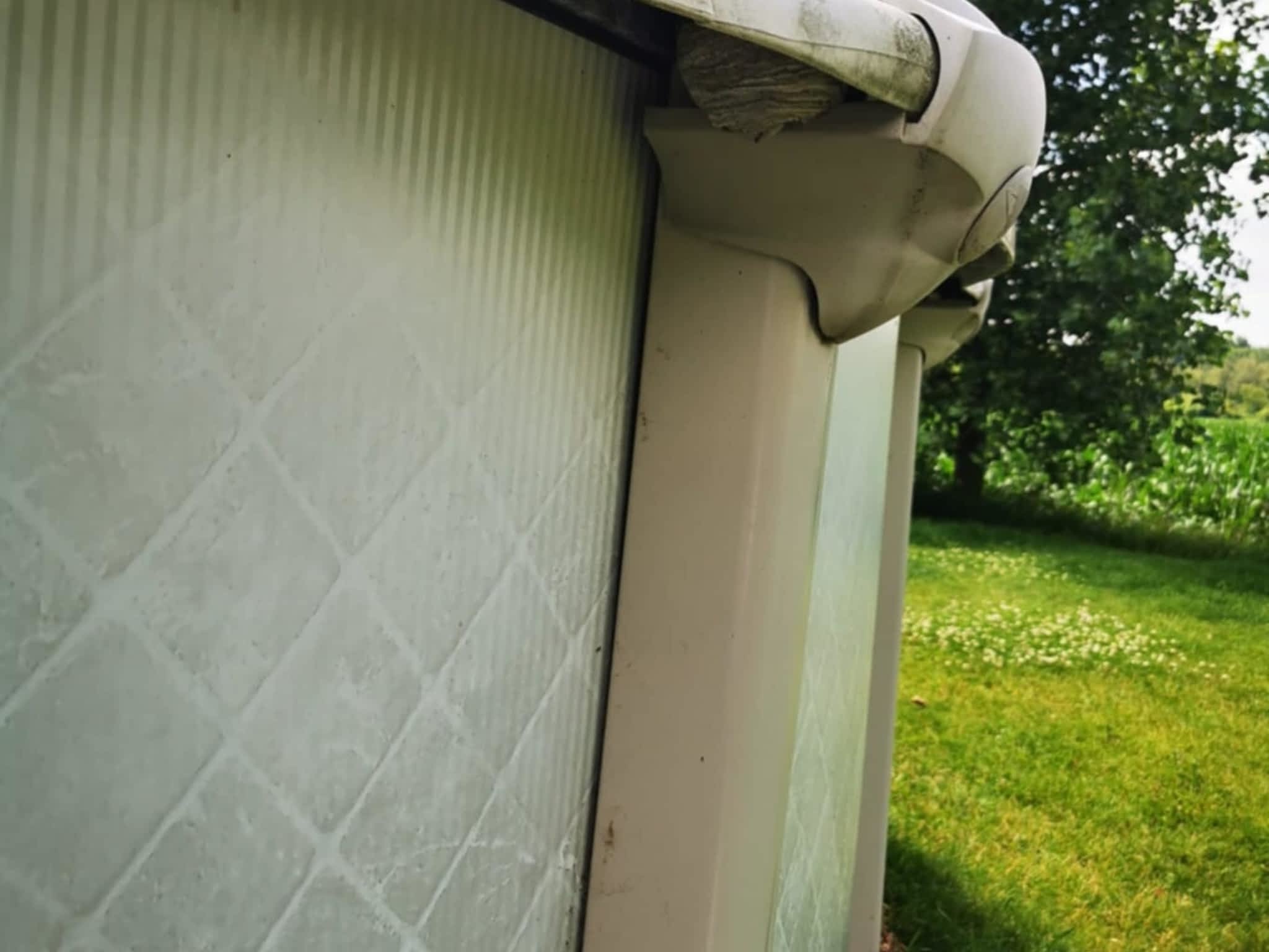 photo D Solution Extermination