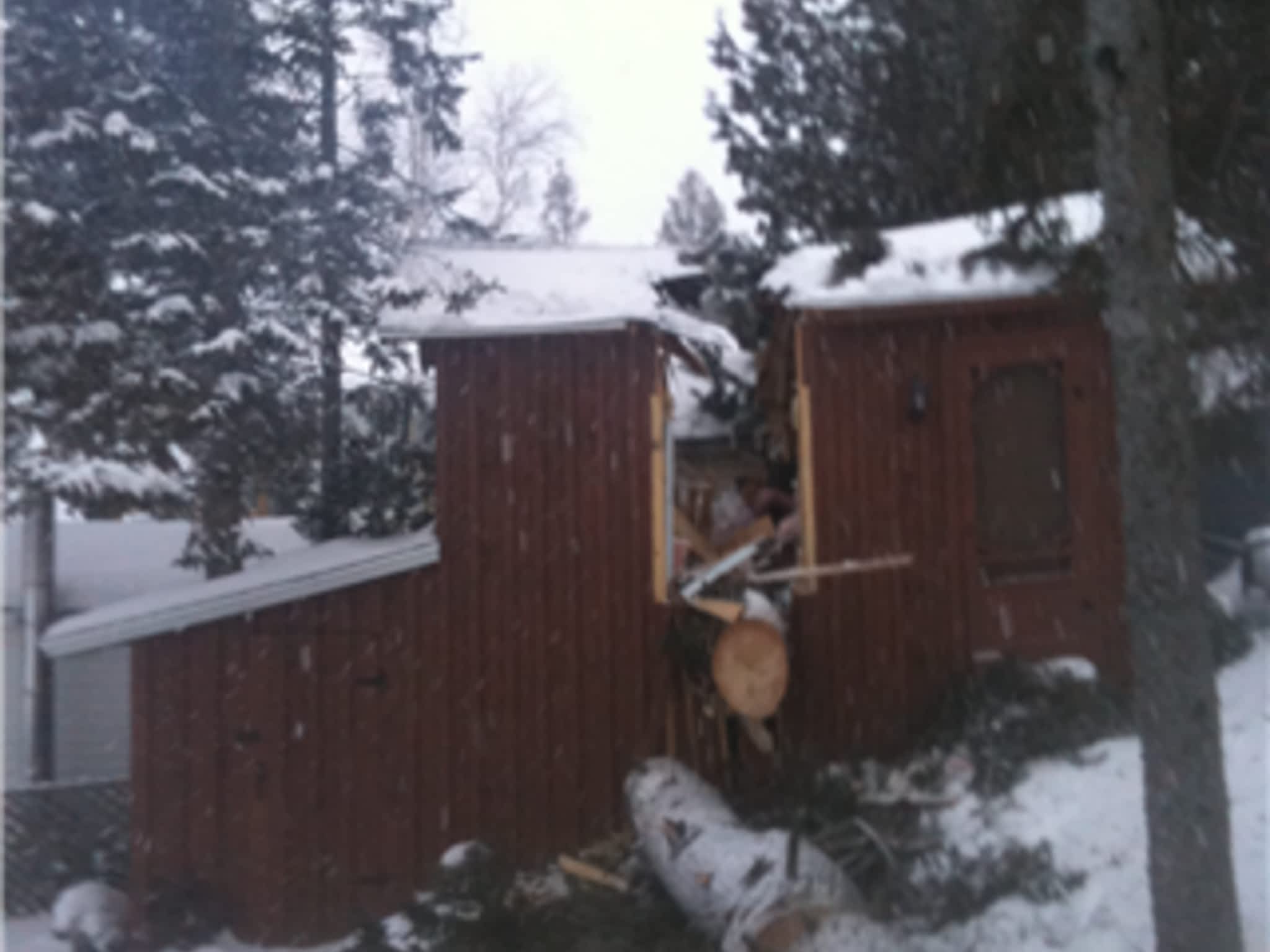 photo Allmac Tree Service