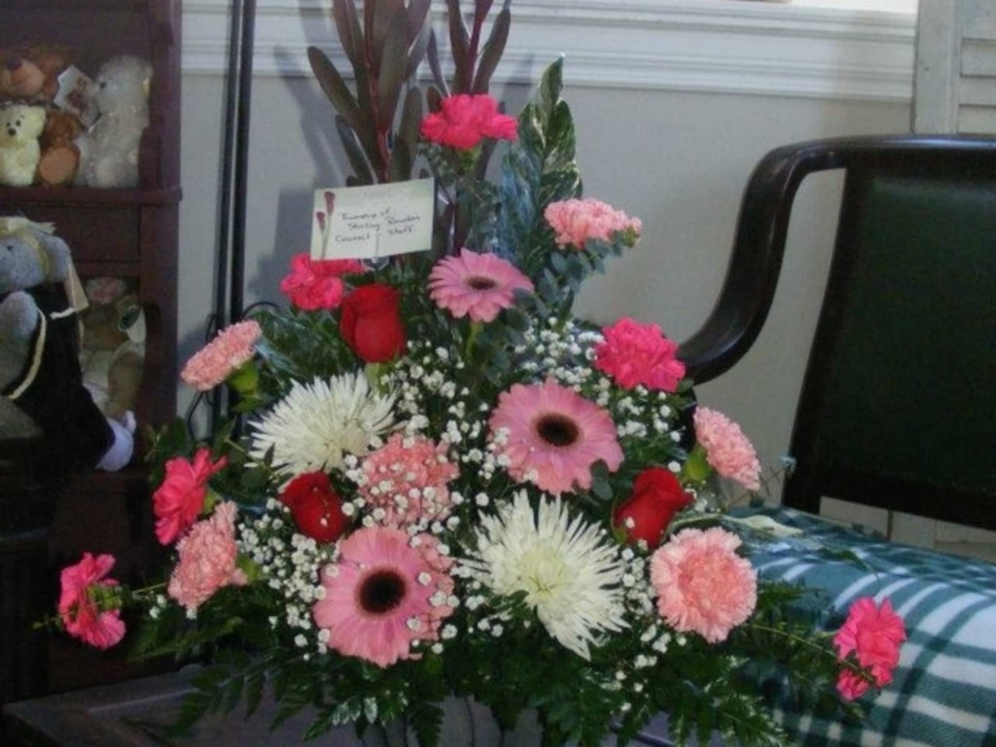 photo Blooms Flowers