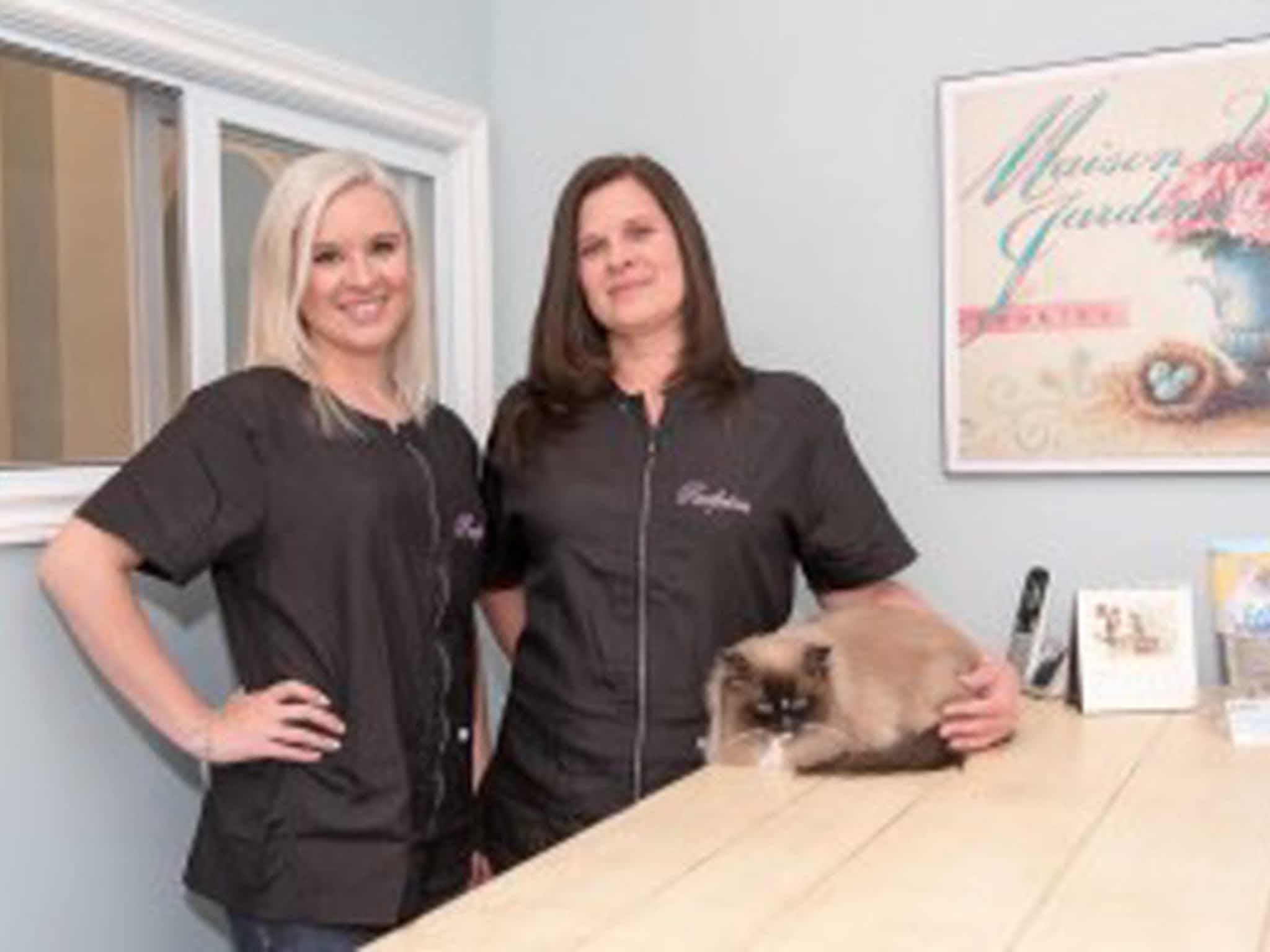 photo Purrfection Cat & Dog Grooming