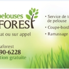 Les Pelouses Laforest - Lawn Maintenance