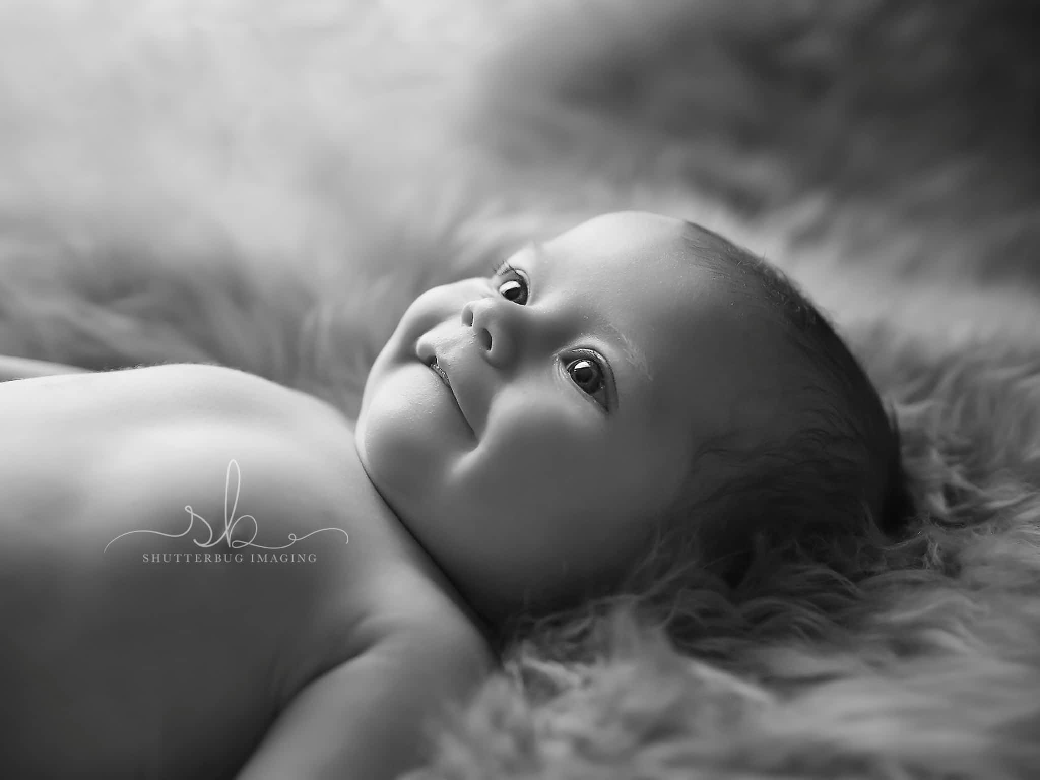 photo Shutterbug Imaging