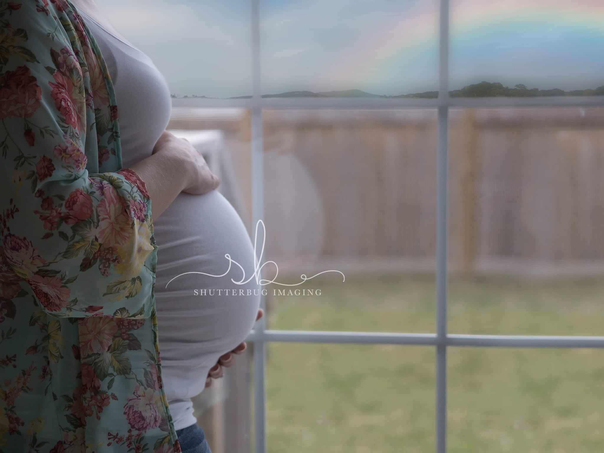 photo Shutterbug Imaging