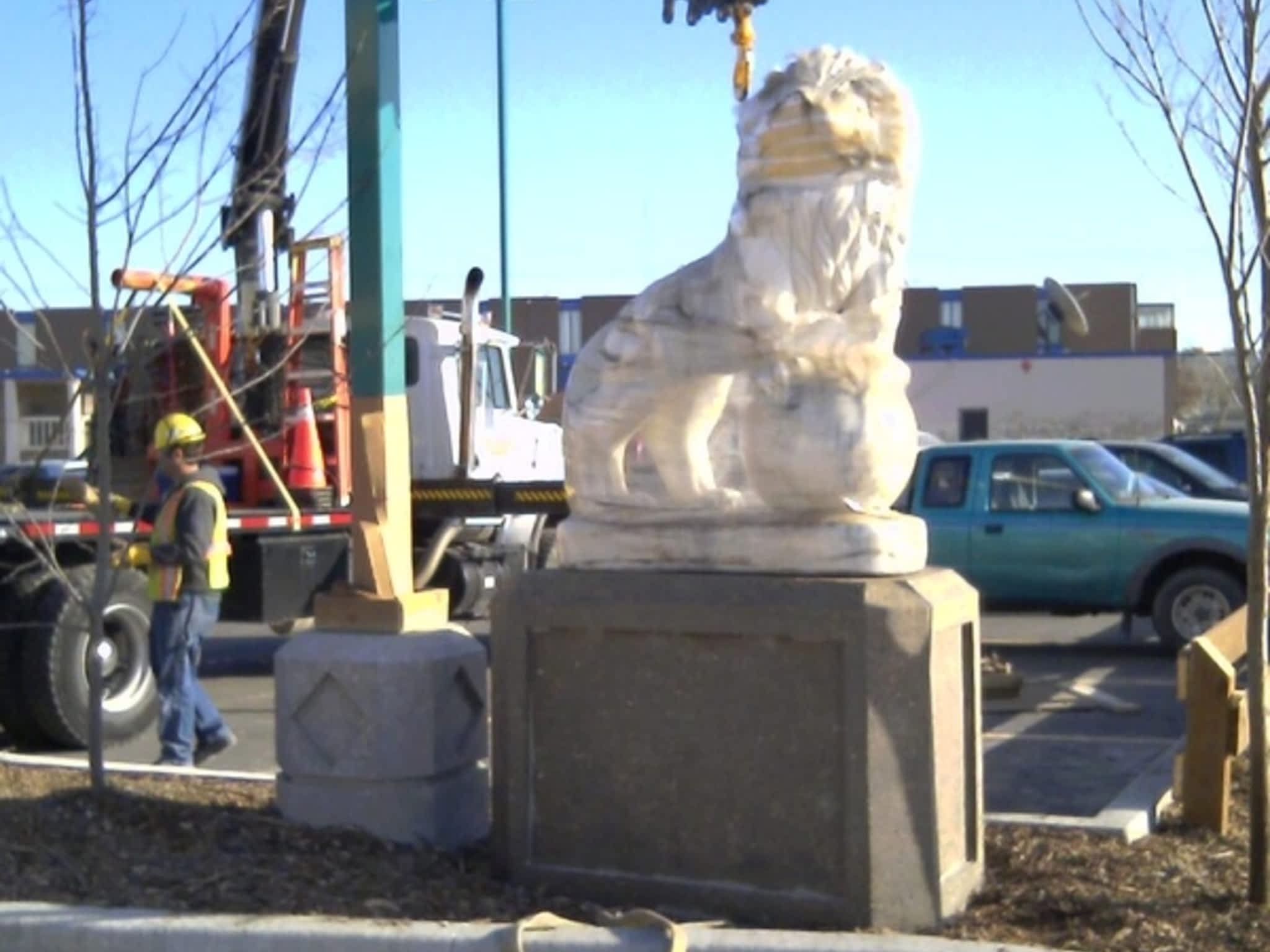 photo Arm-Strong Craning