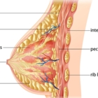 Self Care Is Sacred - Massothérapeutes