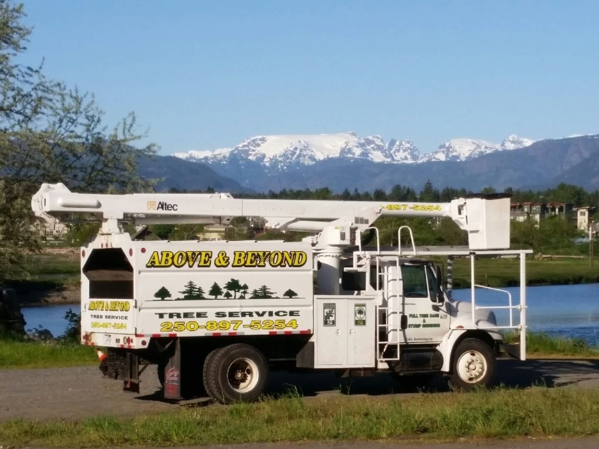 photo Above & Beyond Tree Service