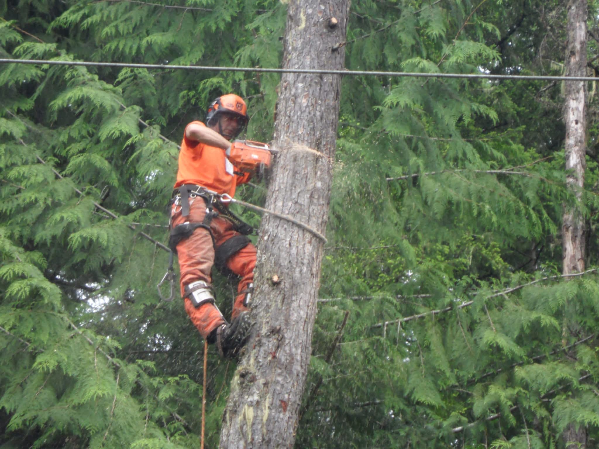 photo High Line Environmental