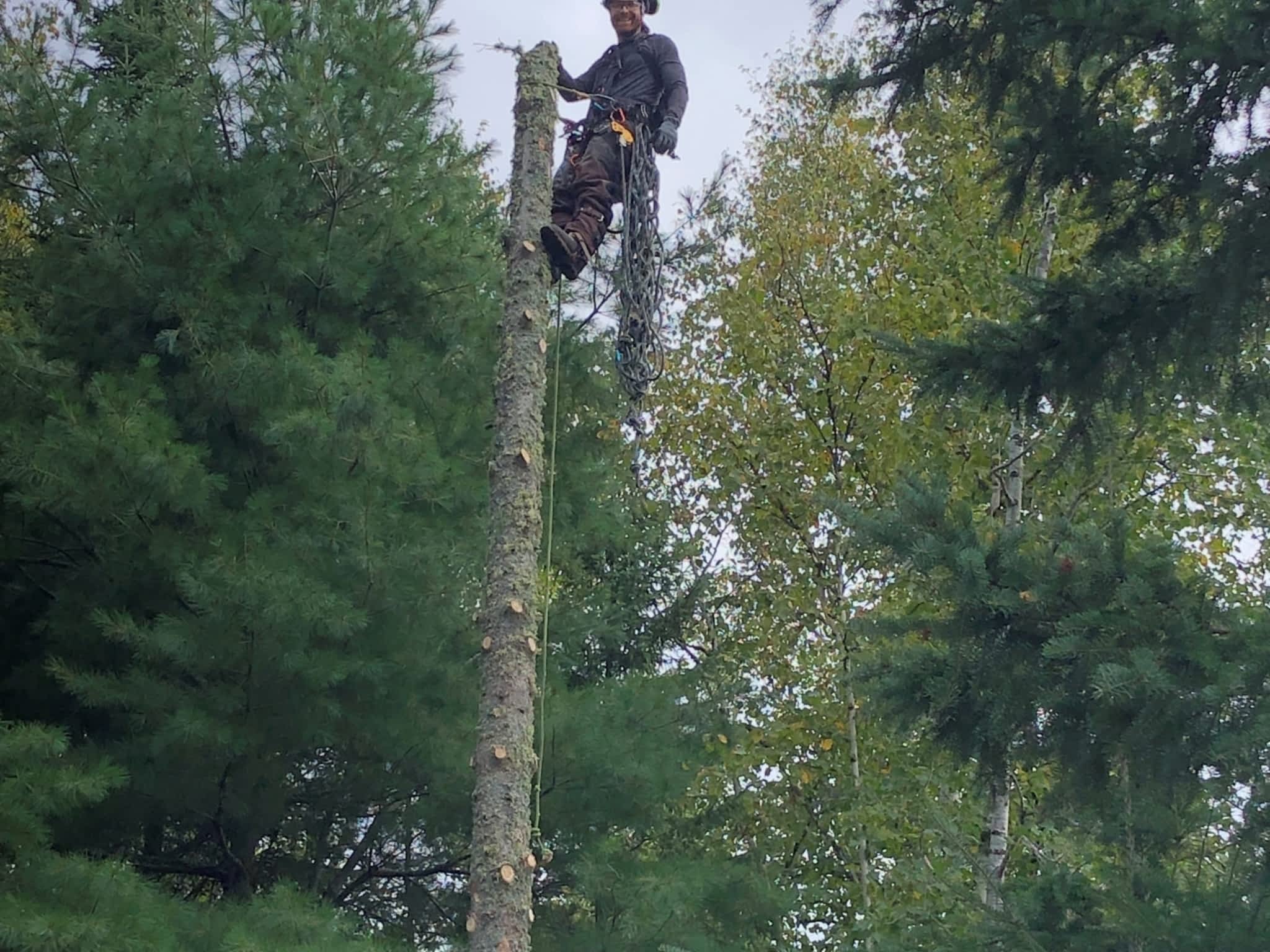 photo Arbo-douceur inc