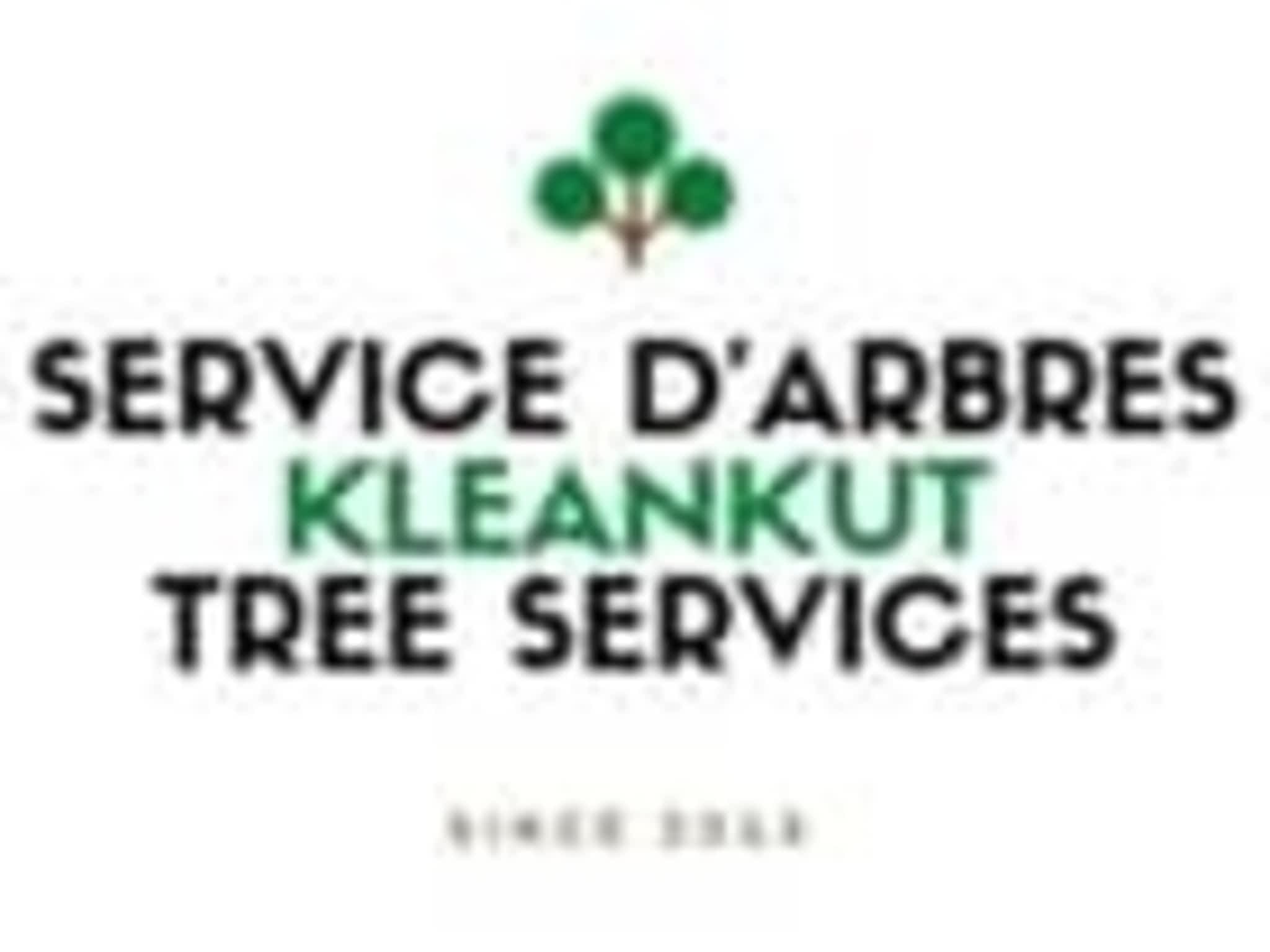 photo Service d'Arbres KleanKut Tree Services