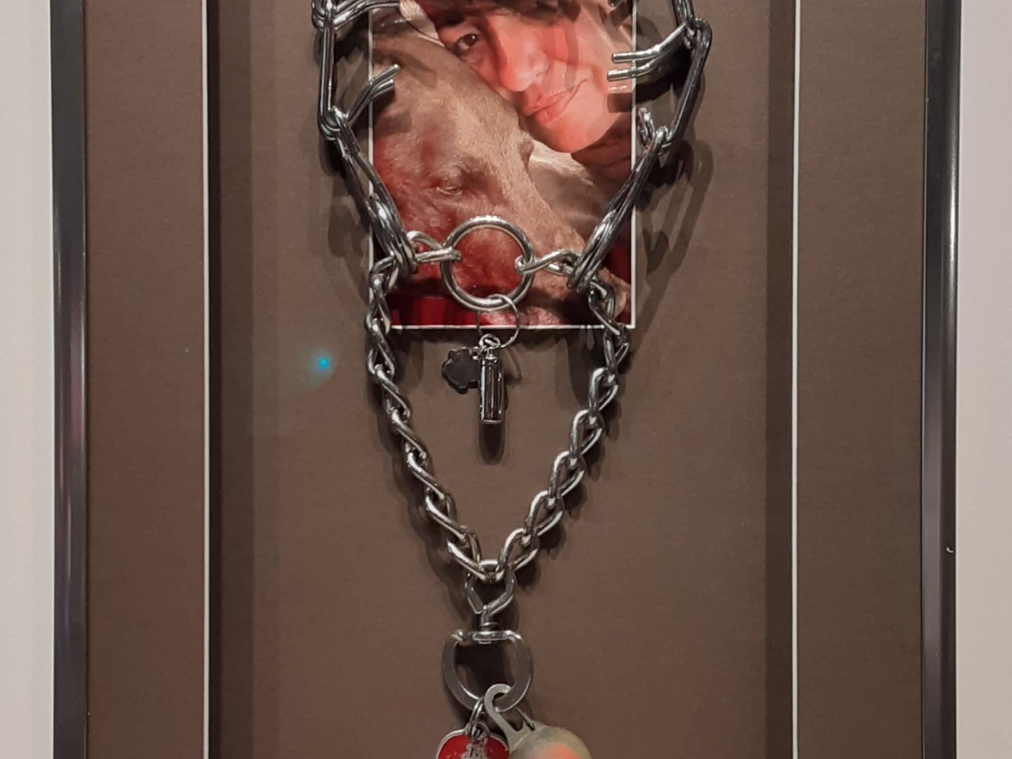 photo Ferrante Picture Framing