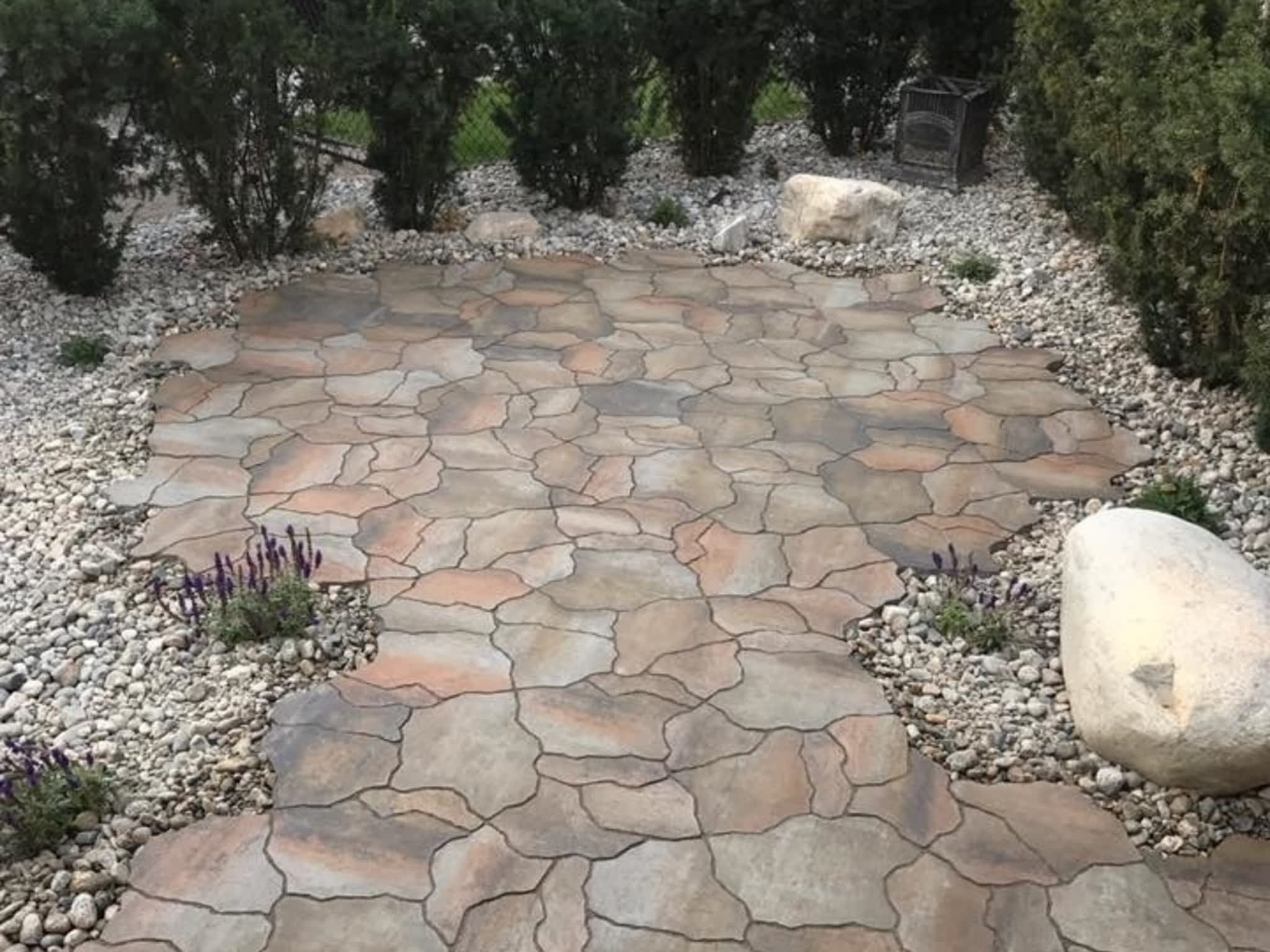 photo Evolutionary Wallscape