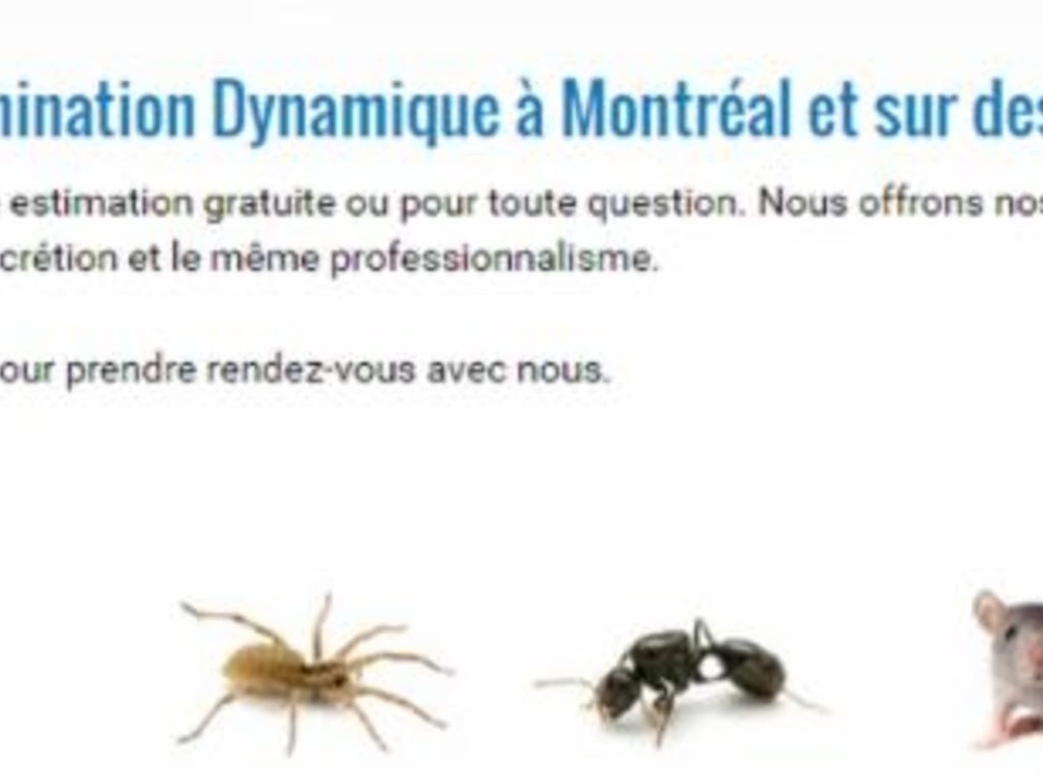 photo Extermination Dynamique