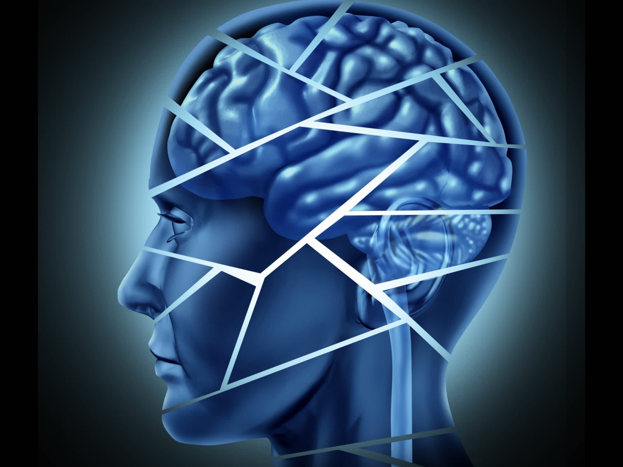 photo Gary E Flaxbard