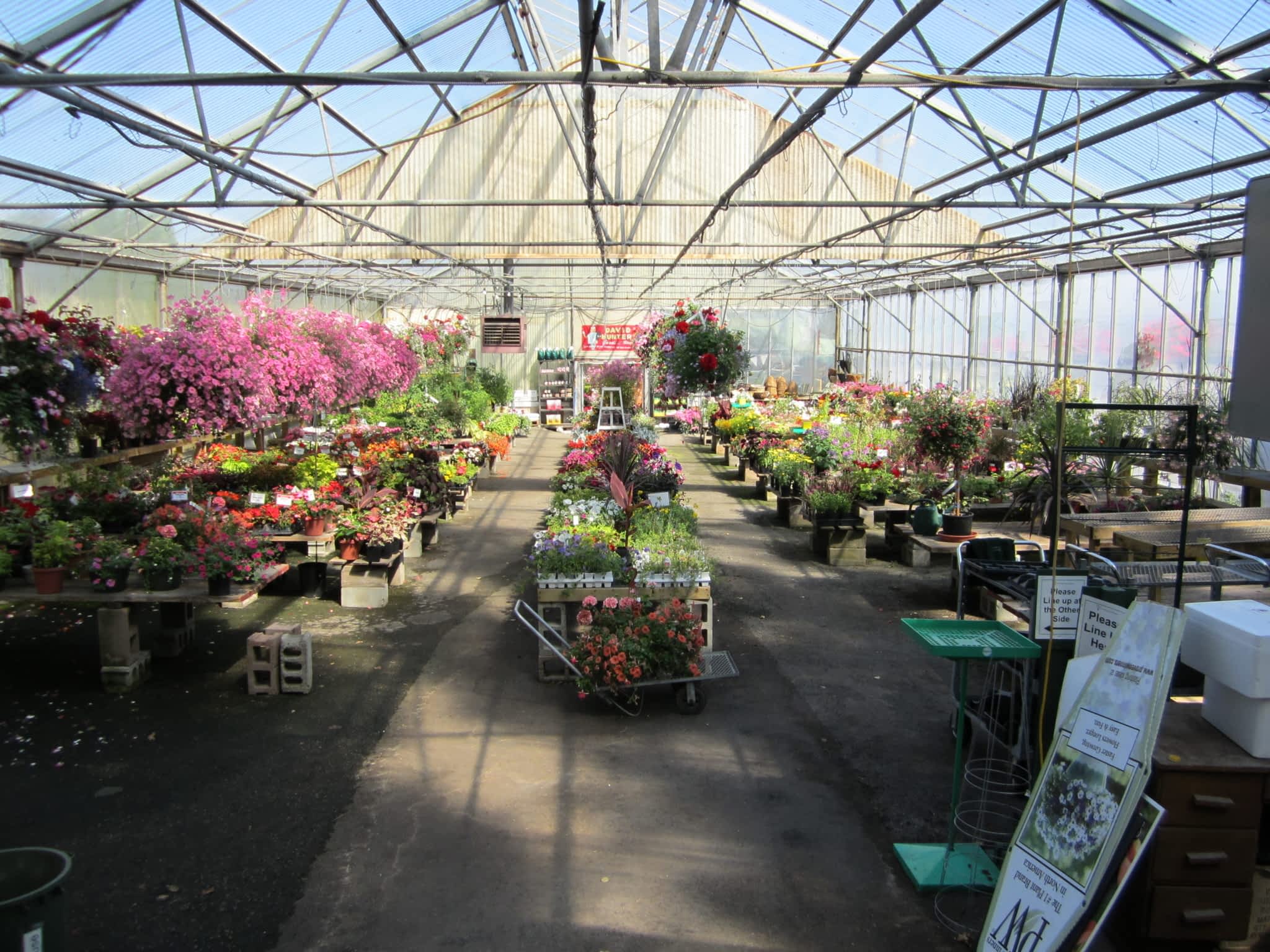 photo Hunters Garden Centre & Flower Shop