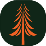 Ascent Tree Services Ltd. - Tree Service