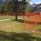 Voir le profil de Portable Fencing Red Deer - Red Deer