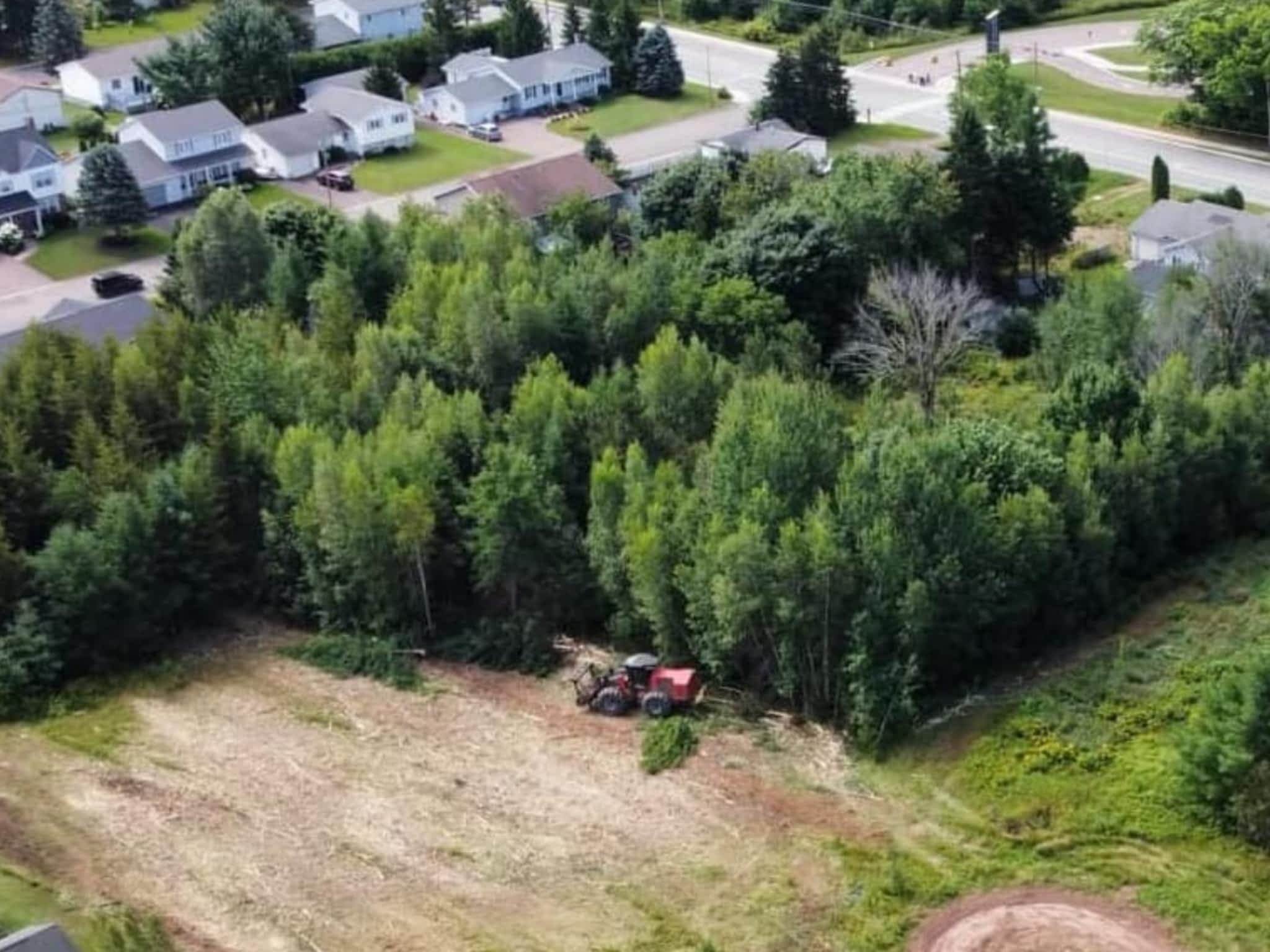 photo Unique Mulching