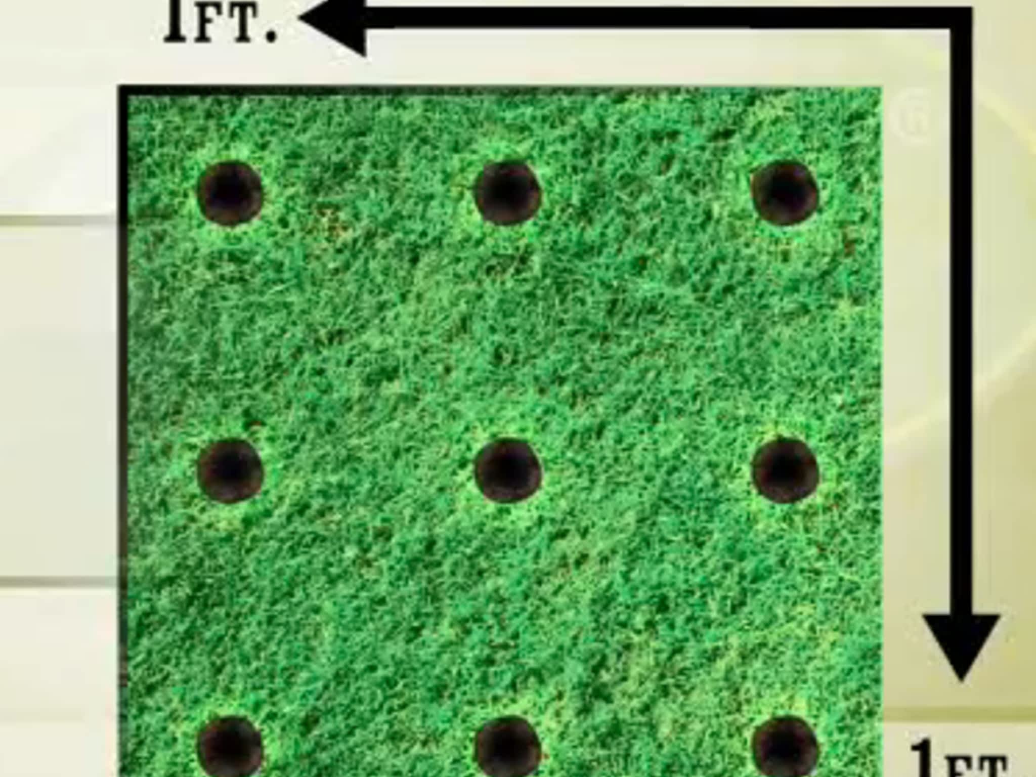 photo Pelouse Solution