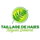 Voir le profil de Taillage De Haies Miguel Bedard - Ascot Corner