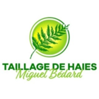 Taillage De Haies Miguel Bedard - Tree Service
