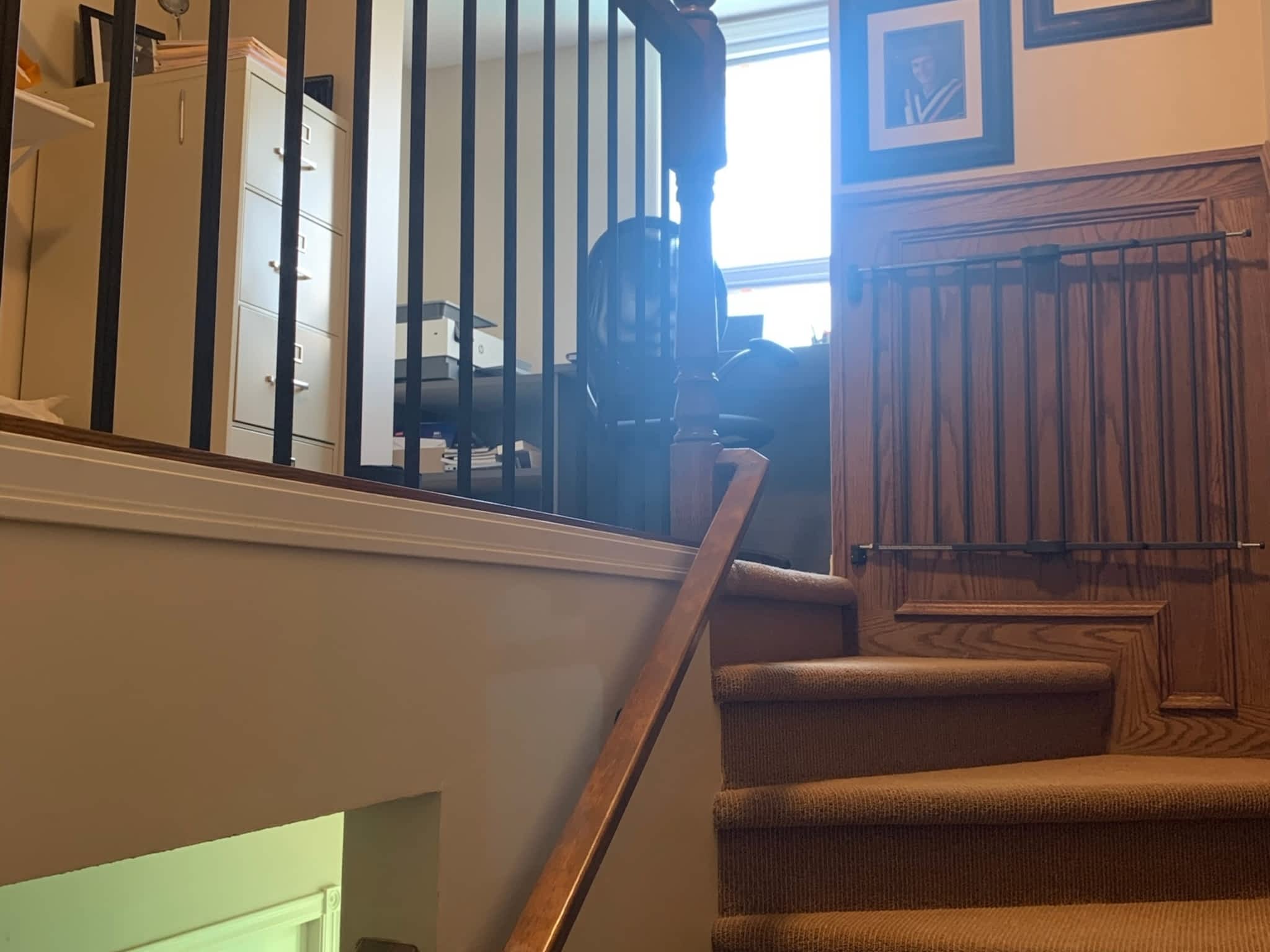 photo A N T Carpentry Ltd