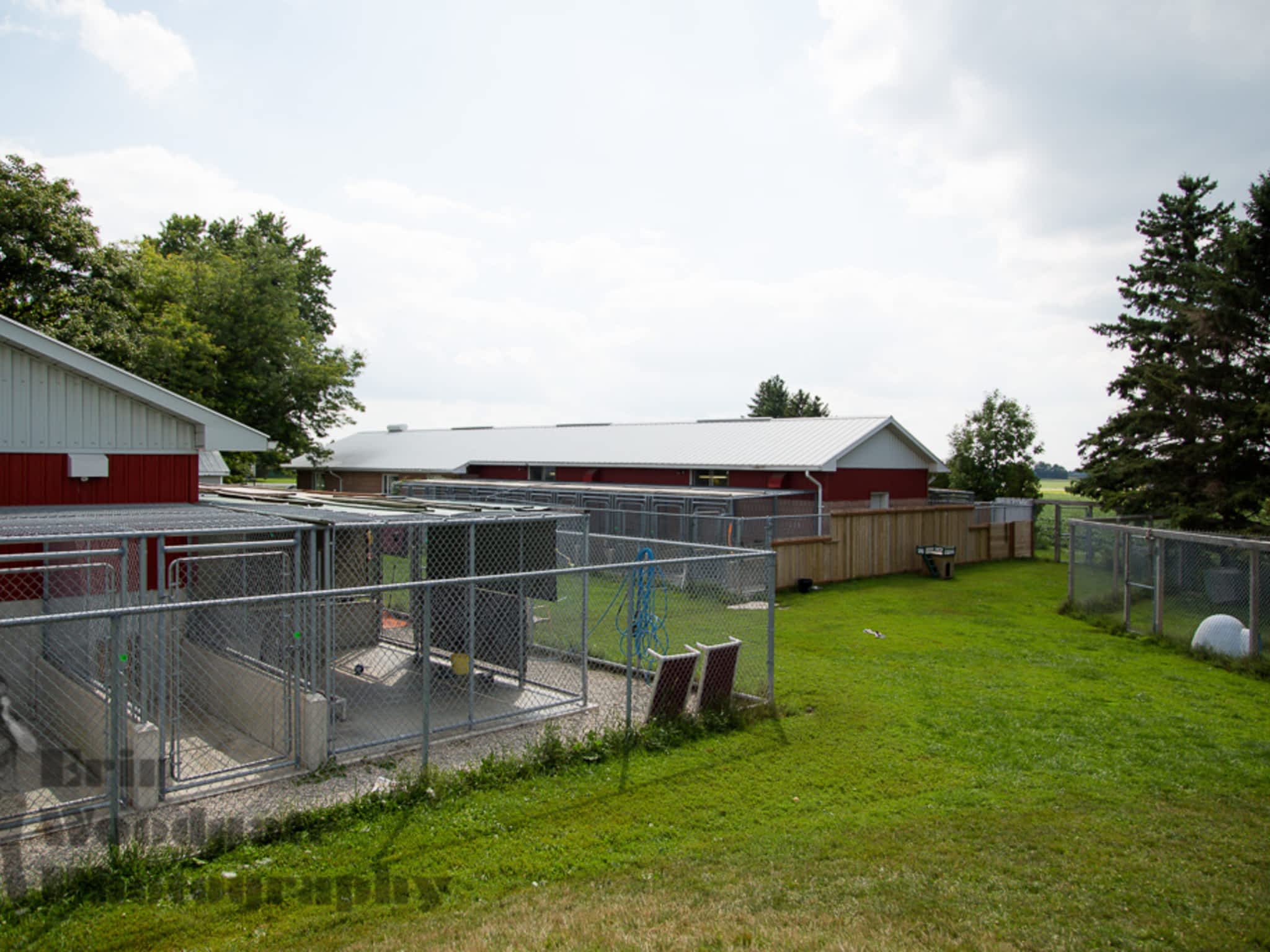 photo Animal Care Centre-Lobo