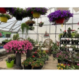 View Busy Bee Greenhouse’s Kindersley profile