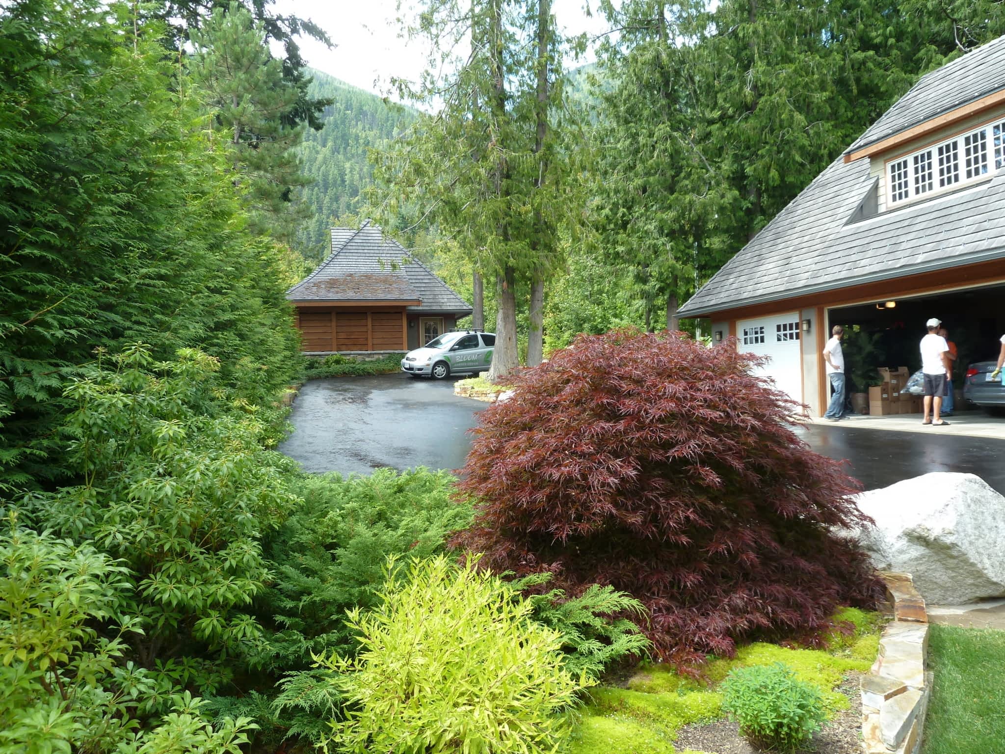 photo Bloom Garden Design