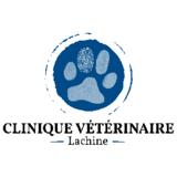 View Clinique Veterinaire Lachine Inc’s Pointe-Claire profile