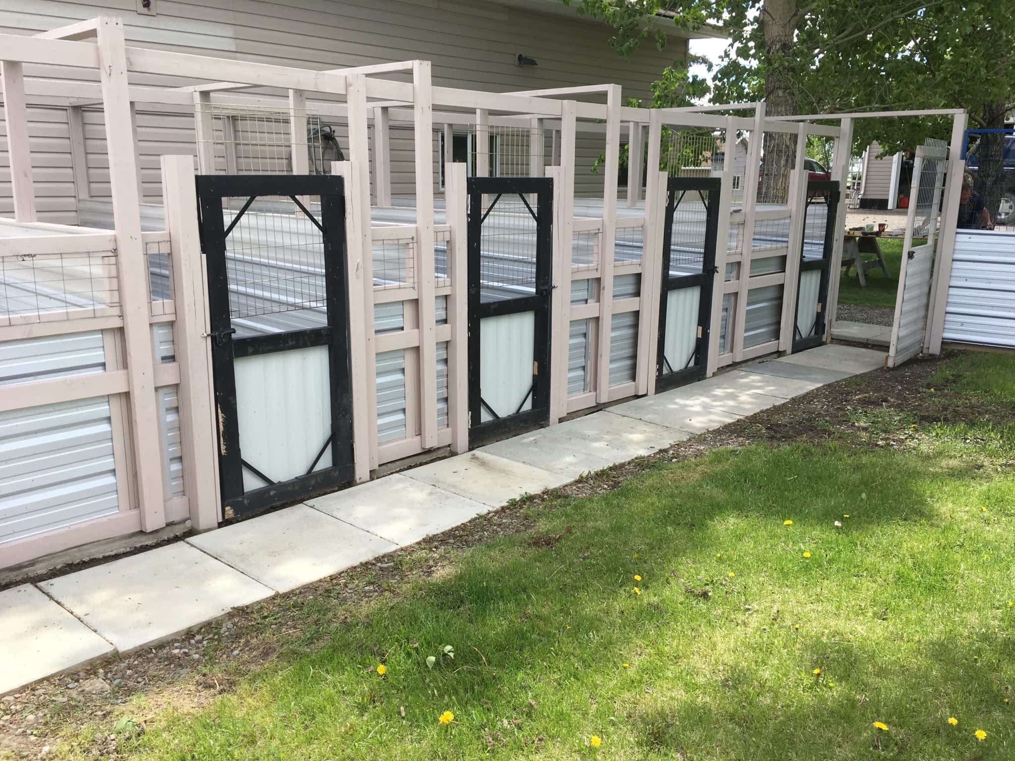 Country Home Kennels Canpages