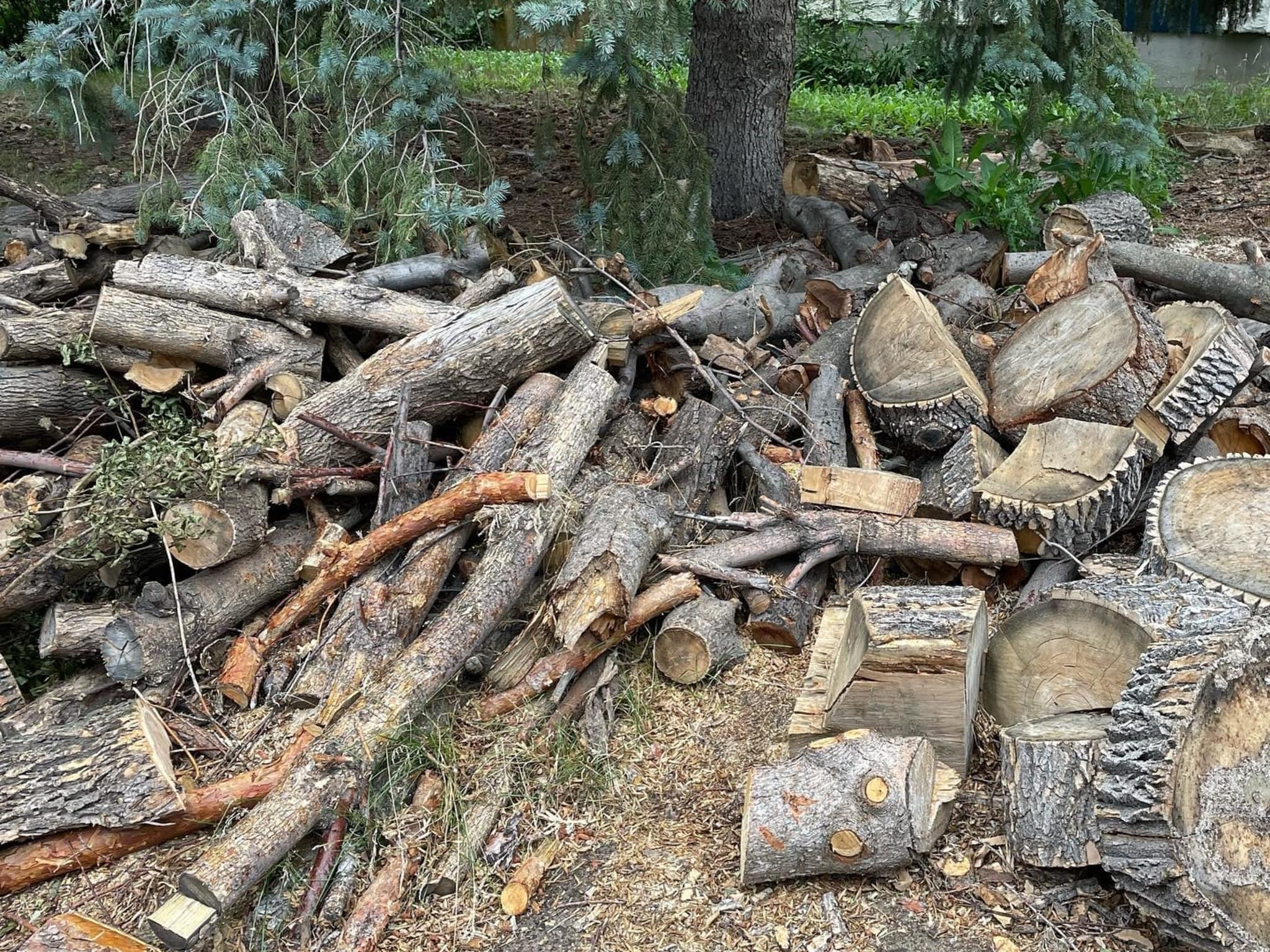 photo Sunset Tree Co