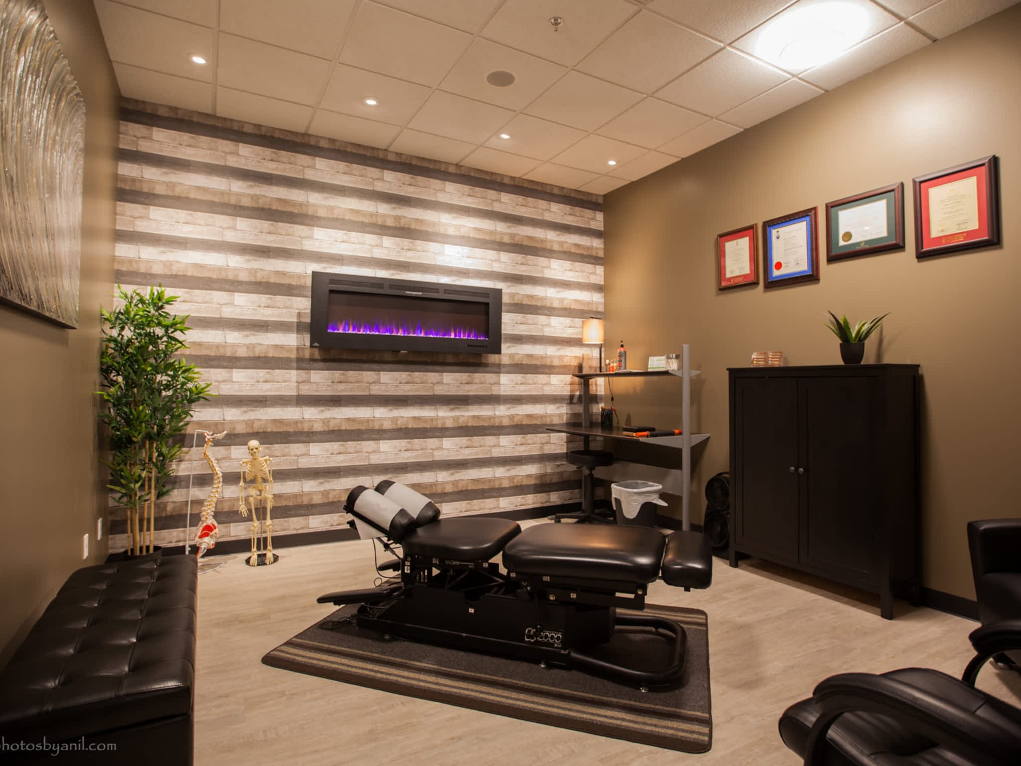 photo The Chiropractic Wellness Studio