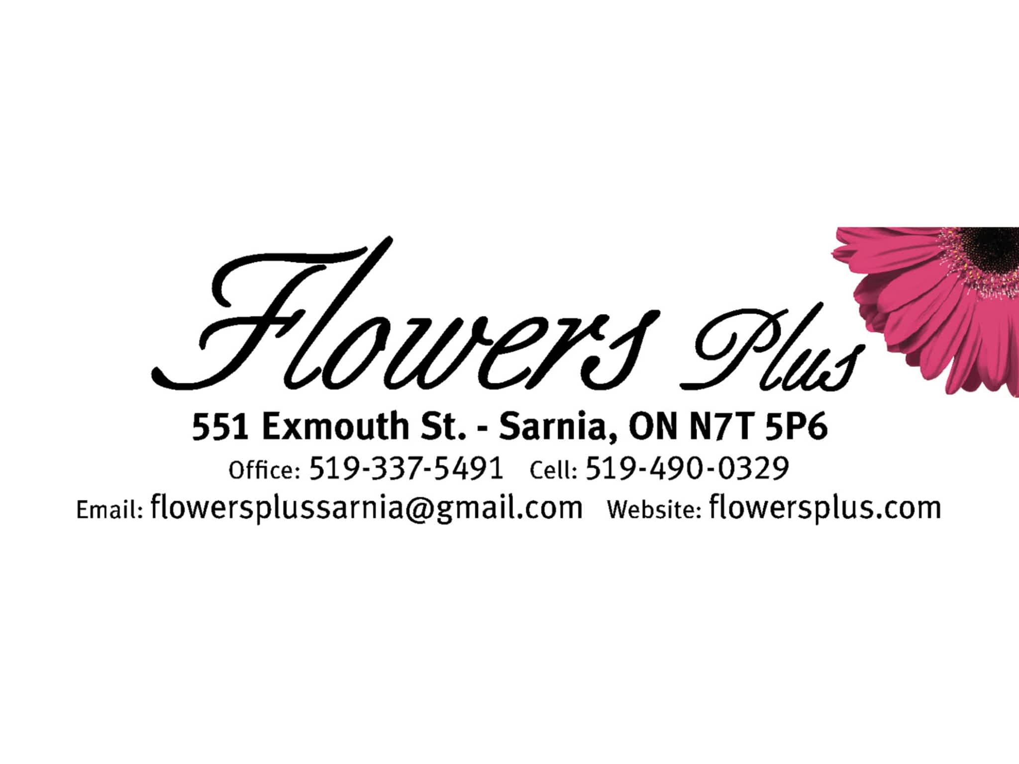 photo Flowers Plus