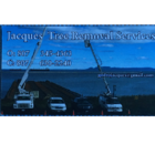 Jacques Tree Removal Service - Tree Service