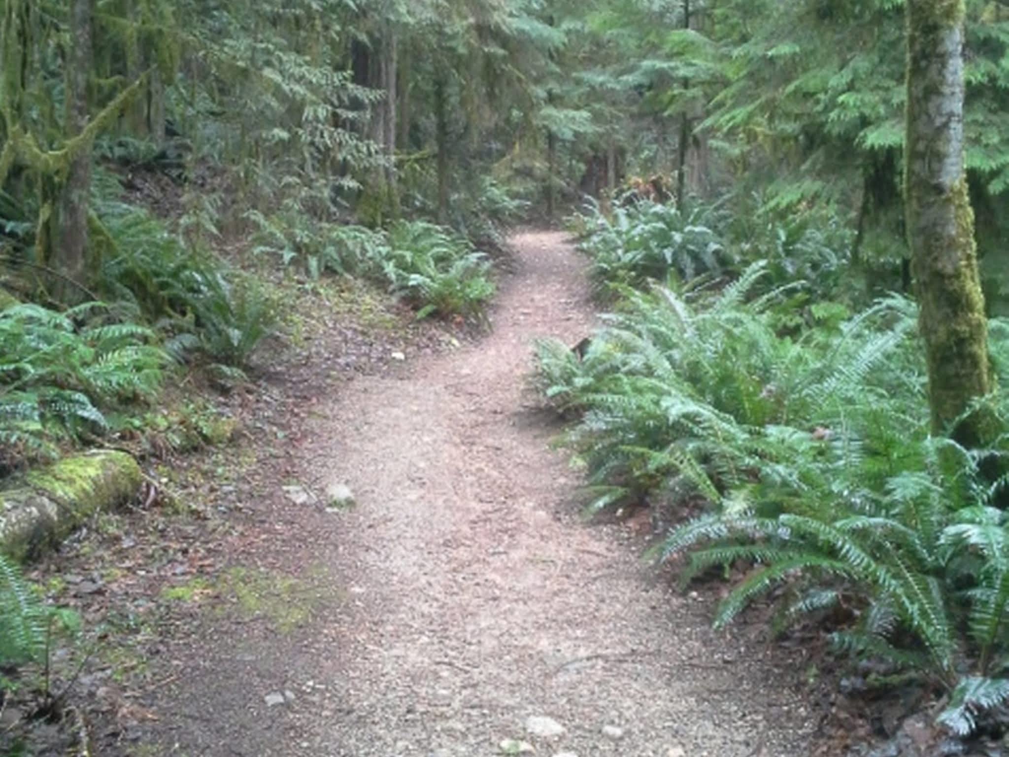 photo Small World Excavating