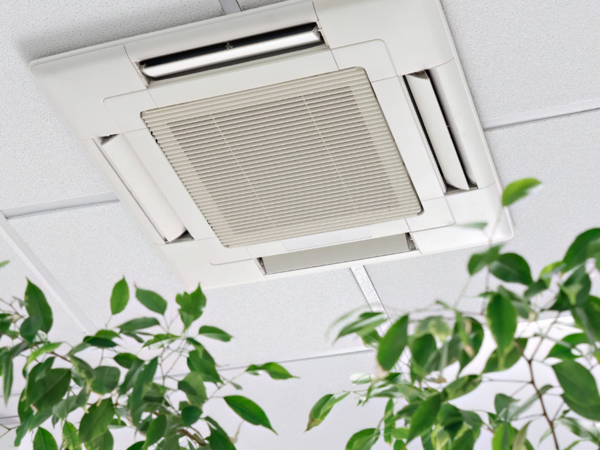 photo PSL Patrick Sprack Ltd.