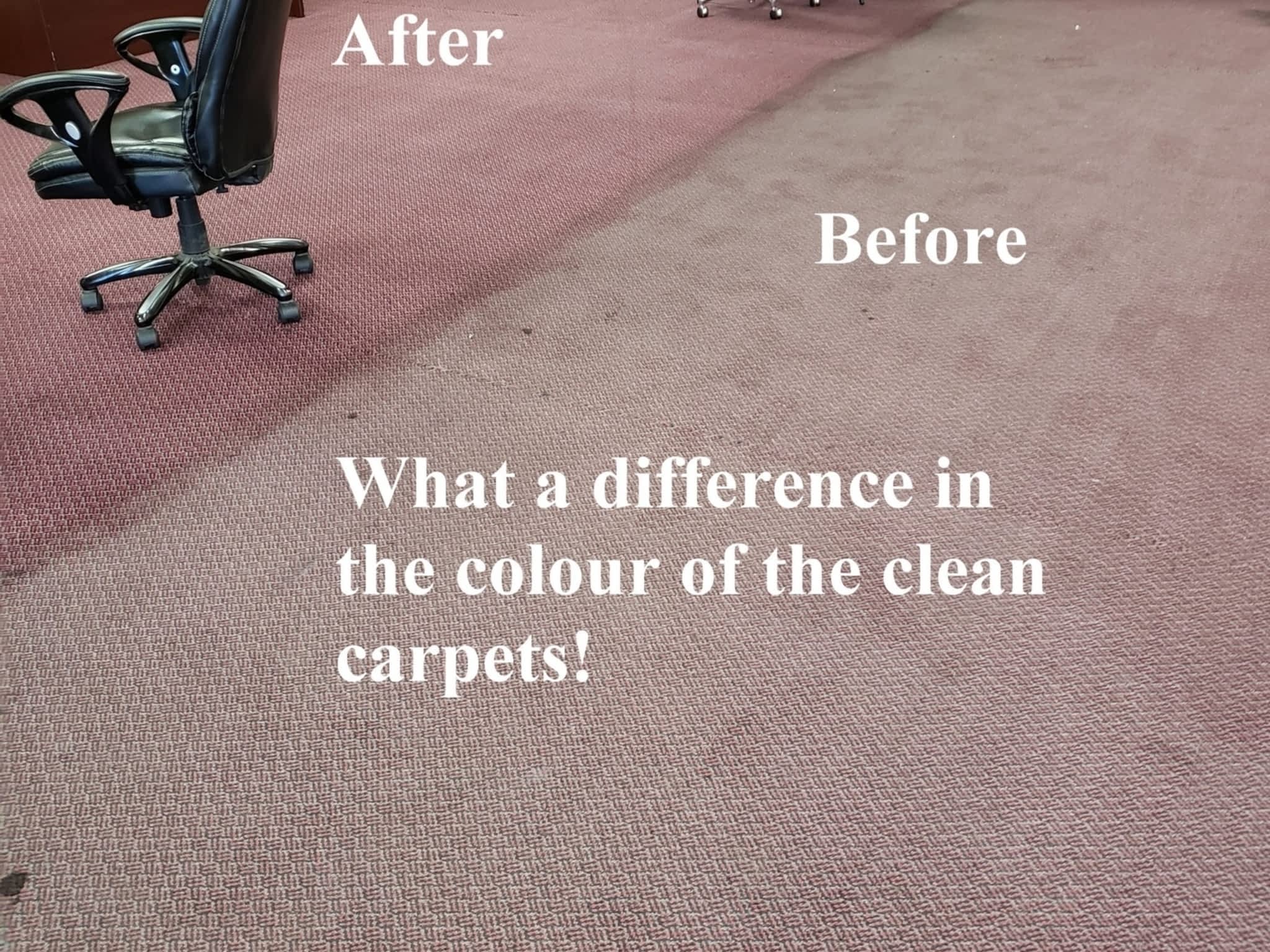 photo Carpet Care Solution