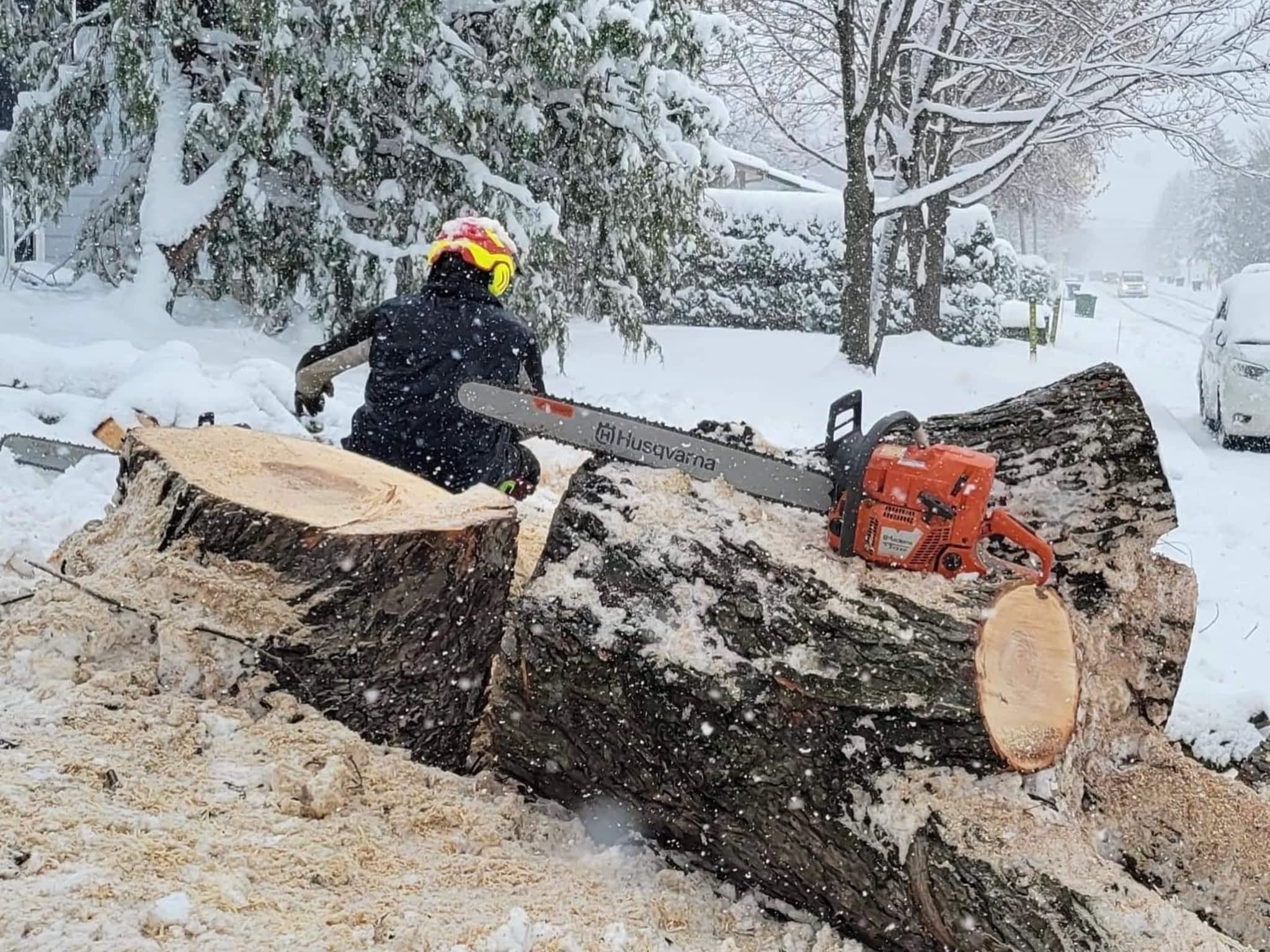 photo Arbre KBT Élagage, émondage et abattage d'arbre