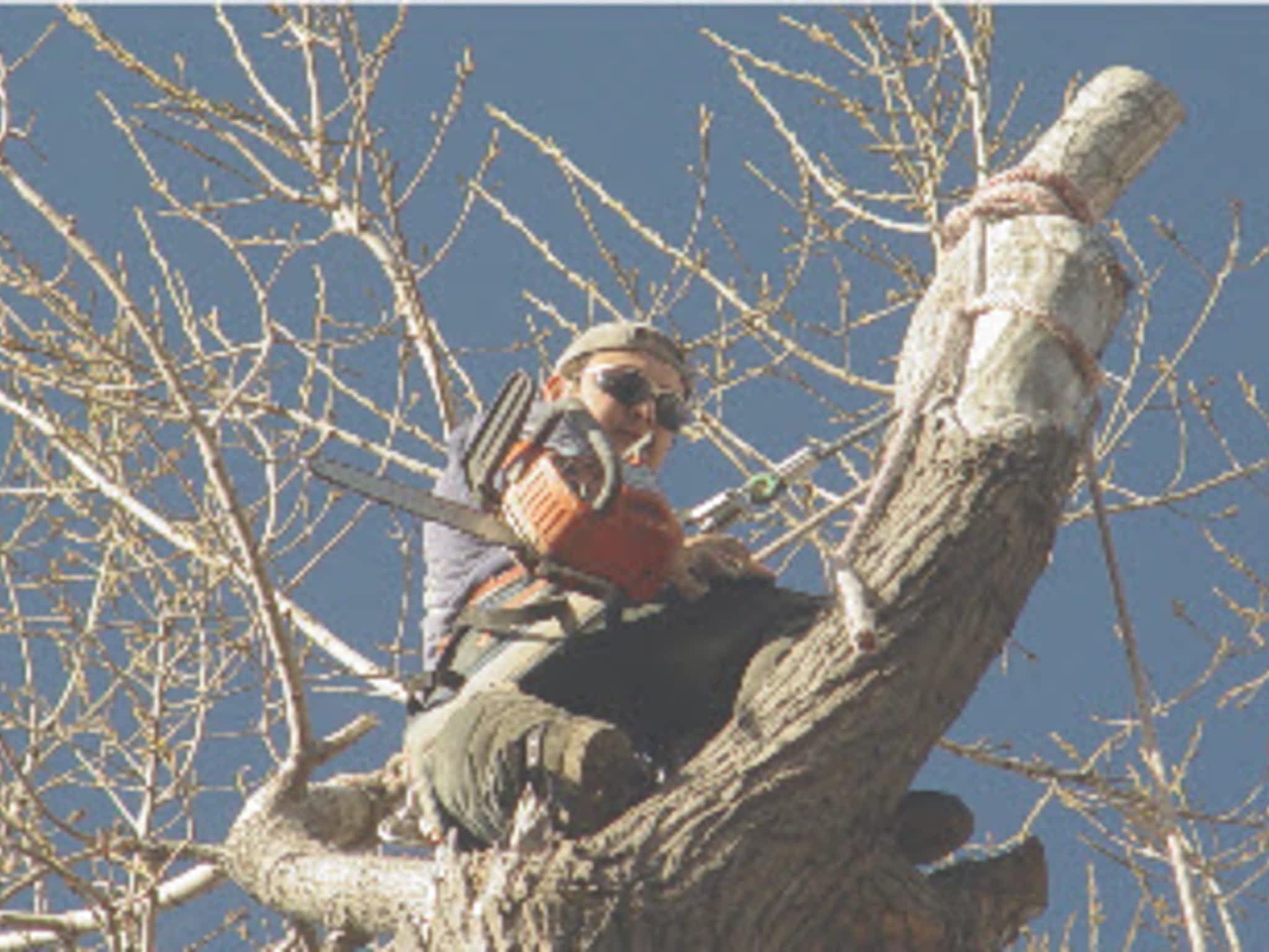 photo Arbo Tech 2002