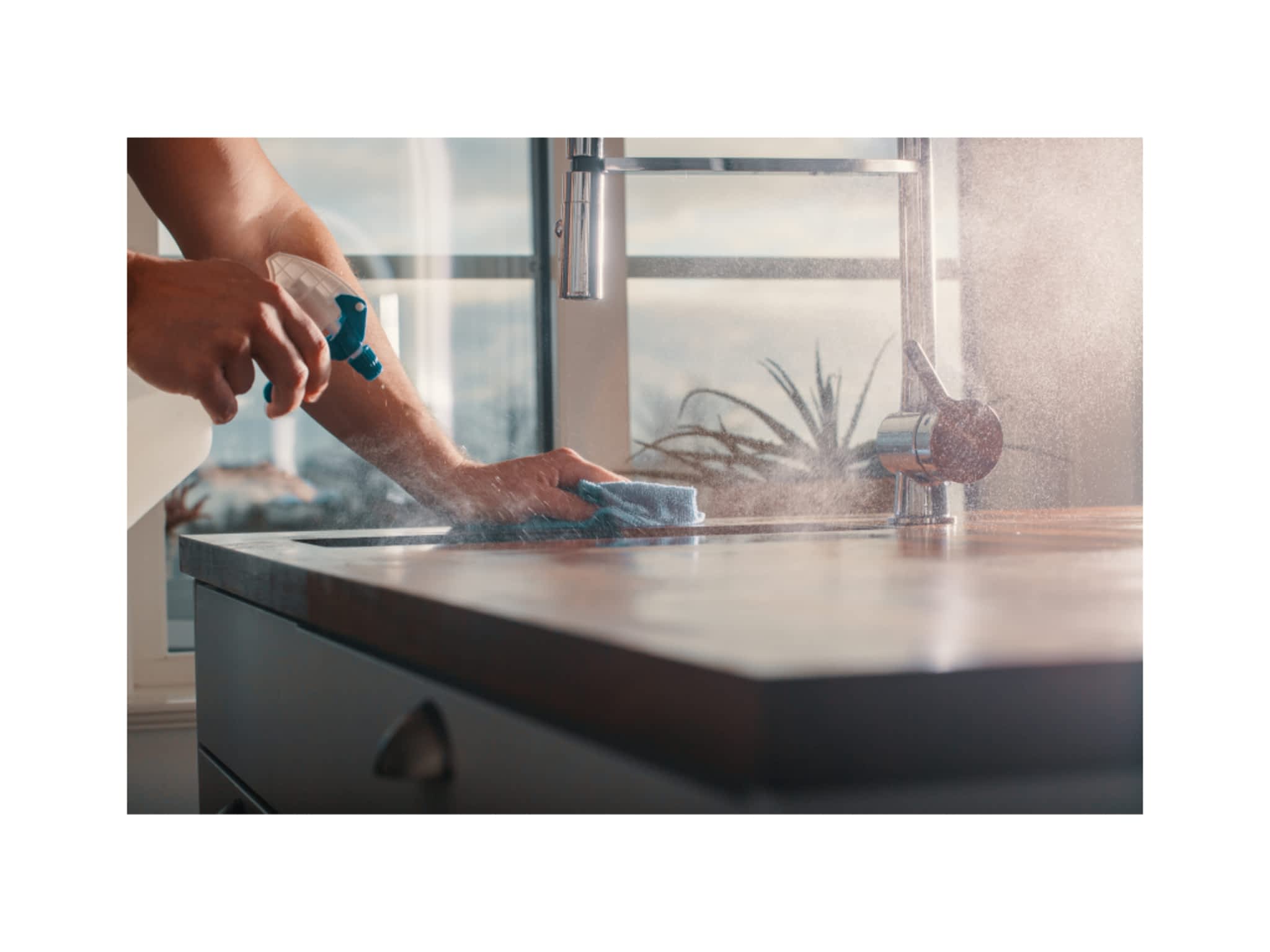 photo New Bloom Cleaning Services