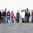 Stoughton Veterinary Services Prof Corp - Vétérinaires