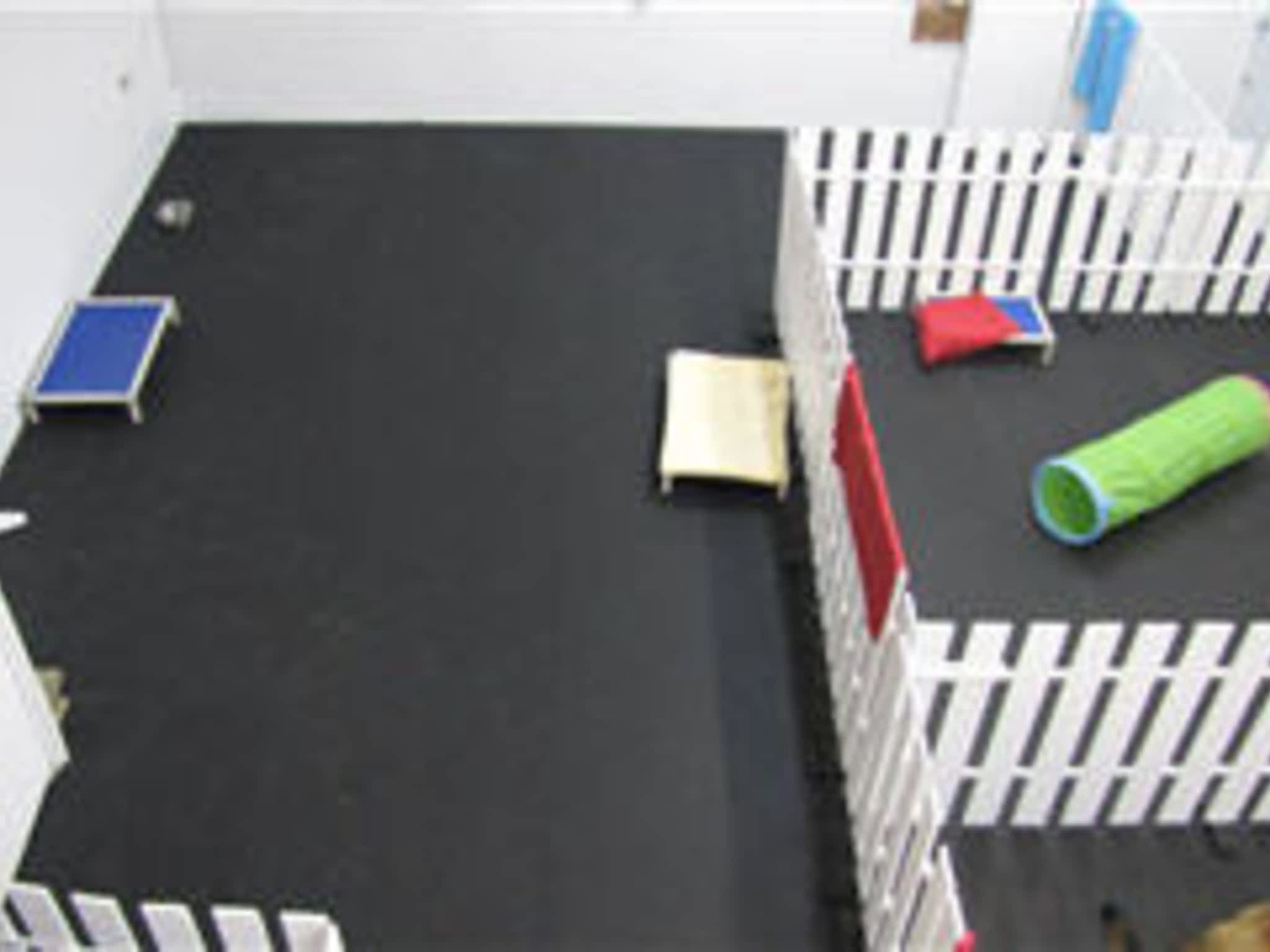 photo DogPlay Dog Daycare & Pet Supplies