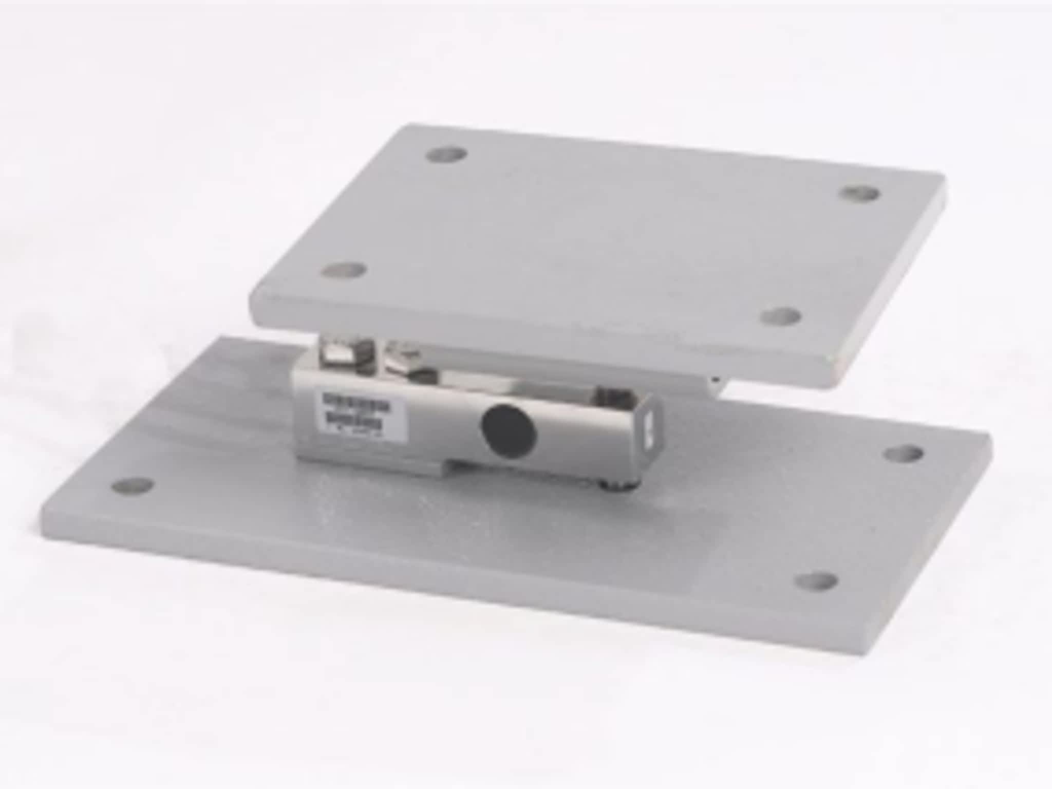 photo Alectronic Scale Systems Inc