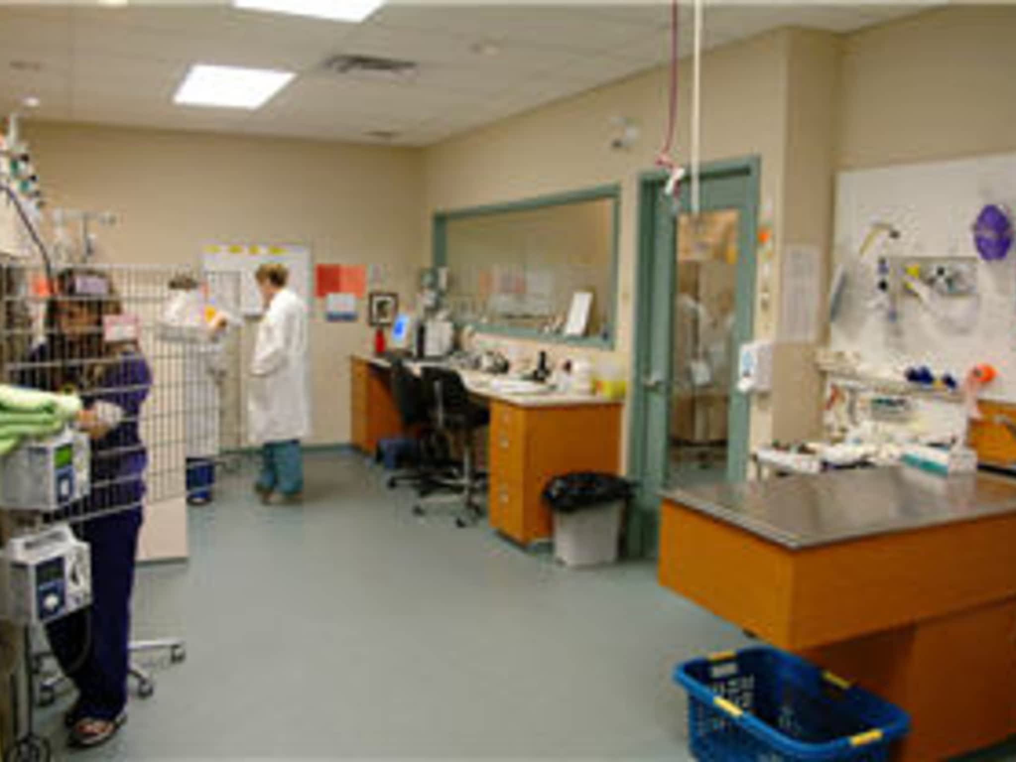 photo Canada West Veterinary Specialists & Critical Care Hospital
