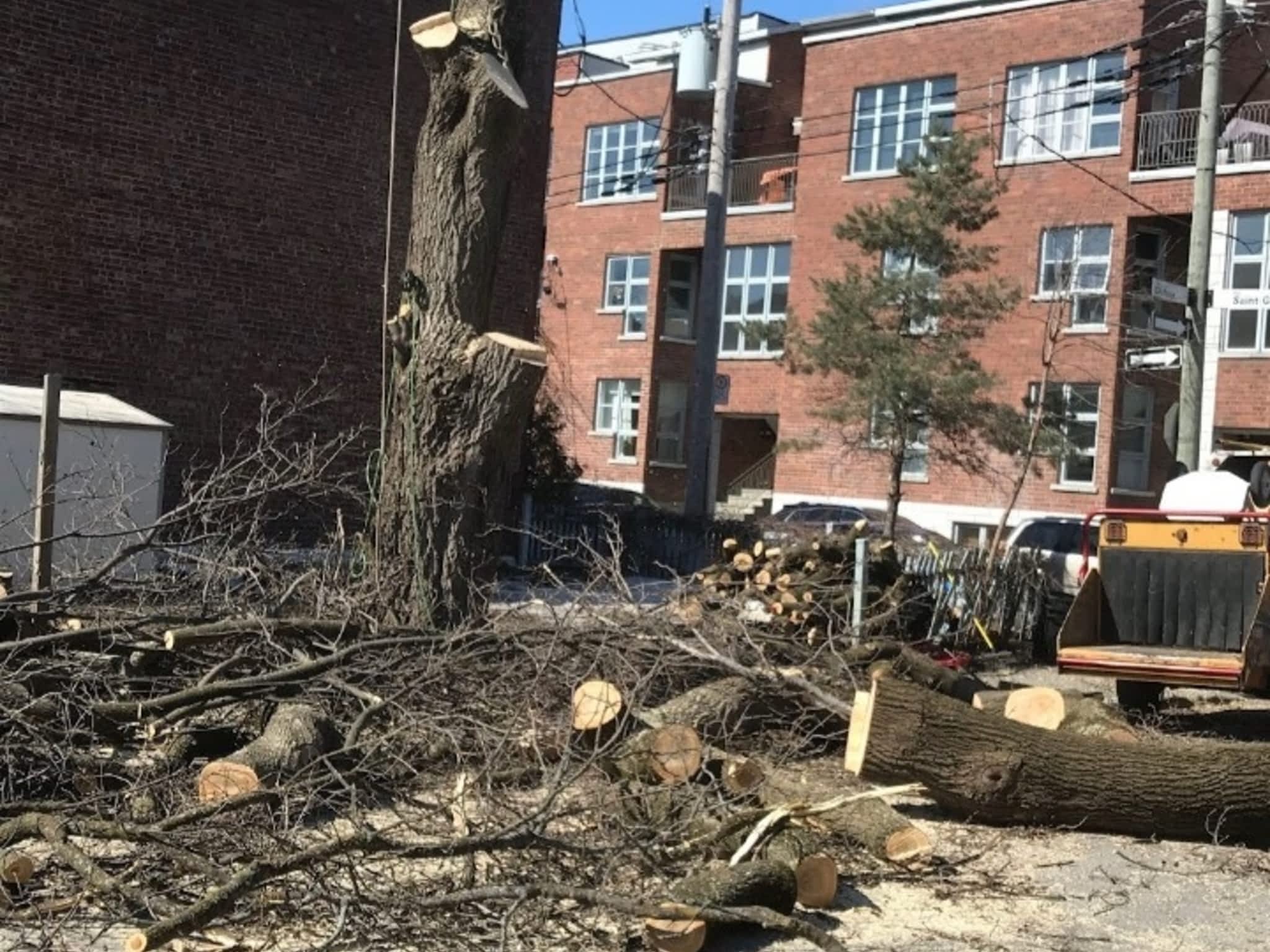 photo Arbo-douceur inc