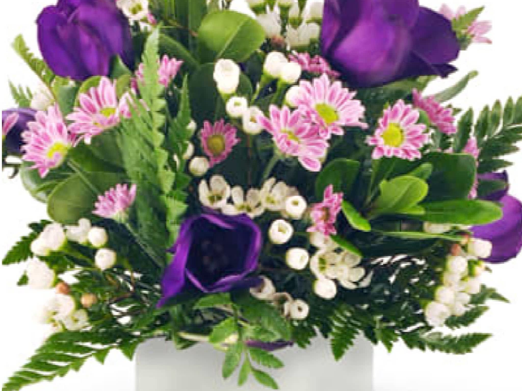 photo Flowers Plus