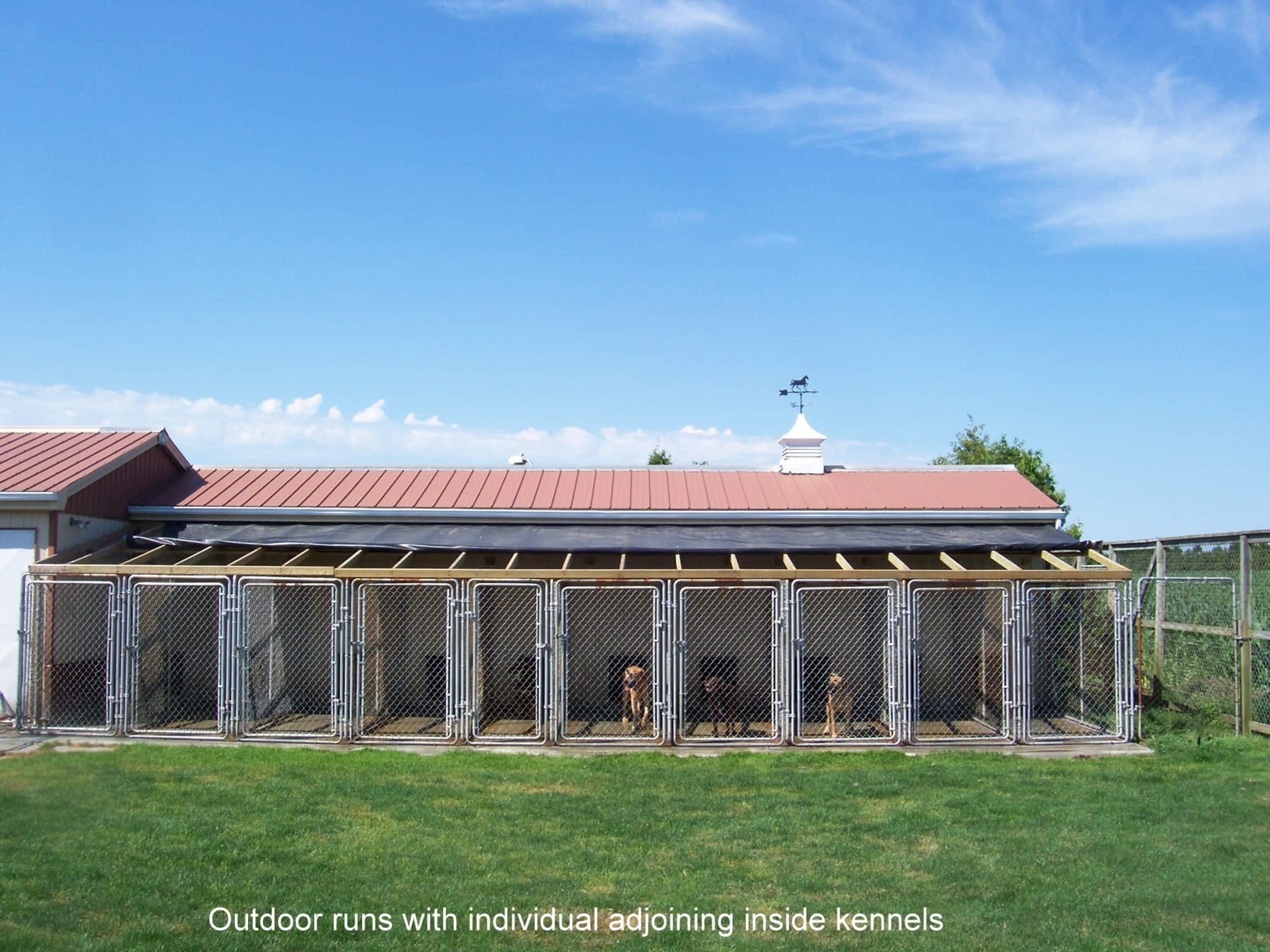 Ace Pet Boarding Chatham, ON 11333 Eberts Line Canpages