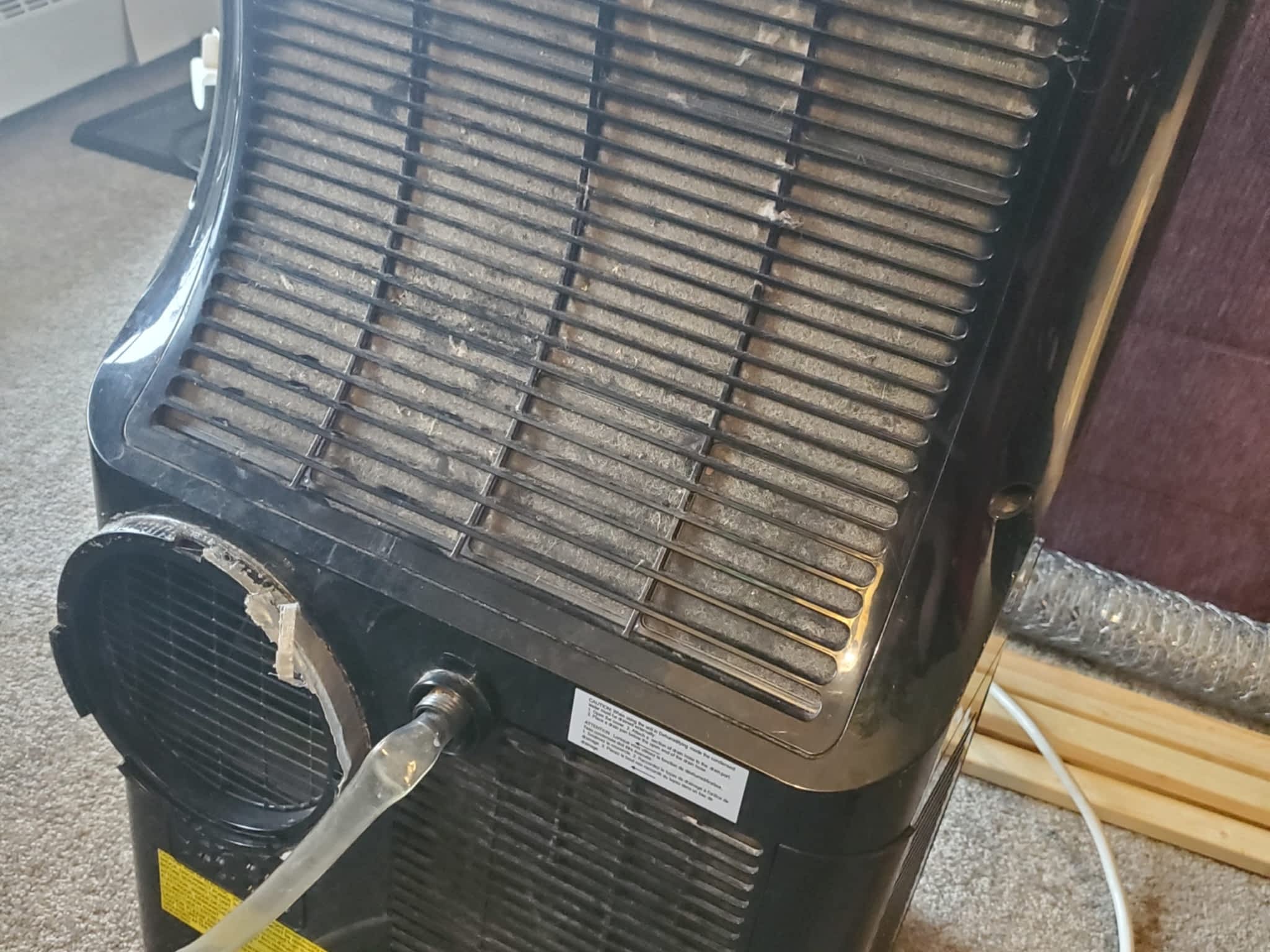 photo A Clean Escape